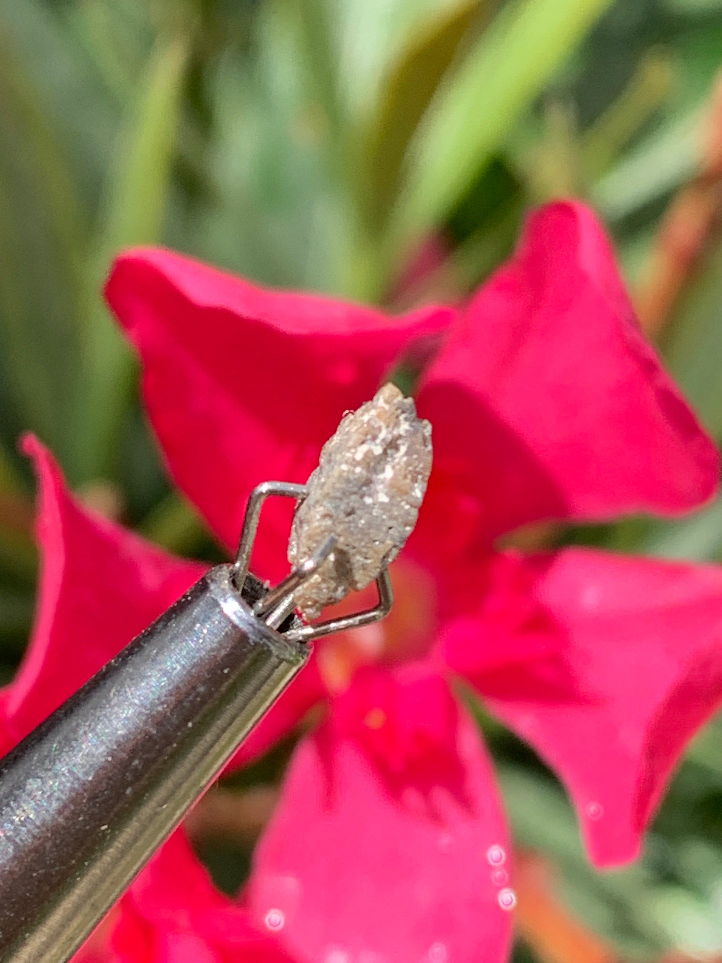 Anatase Diamantina, 8 mm x 3,3 x 3,3 - 1 gramme environ. Beau spécimen, cristaux parfois teintés de bleu (Titane) ou d’or !