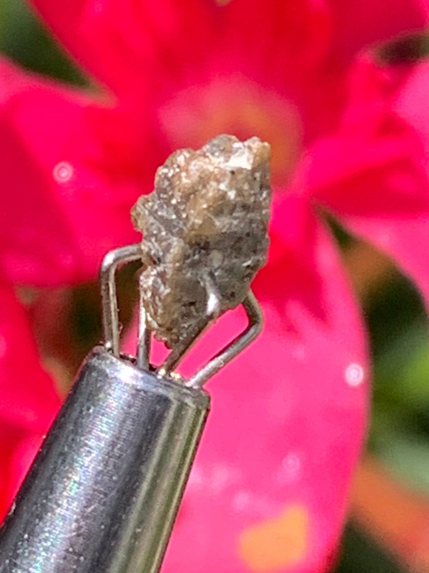 Anatase Diamantina, 8 mm x 3,3 x 3,3 - 1 gramme environ. Beau spécimen, cristaux parfois teintés de bleu (Titane) ou d’or !