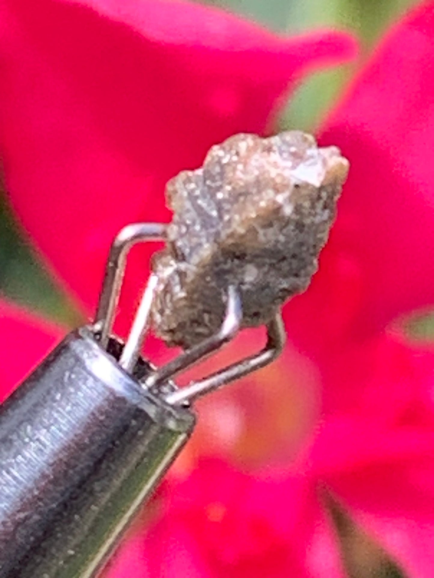 Anatase Diamantina, 8 mm x 3,3 x 3,3 - 1 gramme environ. Beau spécimen, cristaux parfois teintés de bleu (Titane) ou d’or !