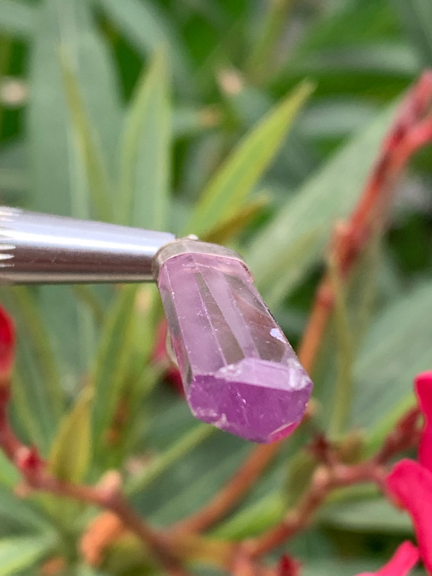 Kunzite naturelle, pendentif sertis sur Argent ! Pièce unique de 43 millimètres x9 x6. Vendu avec cordon réglable de couleur noire !