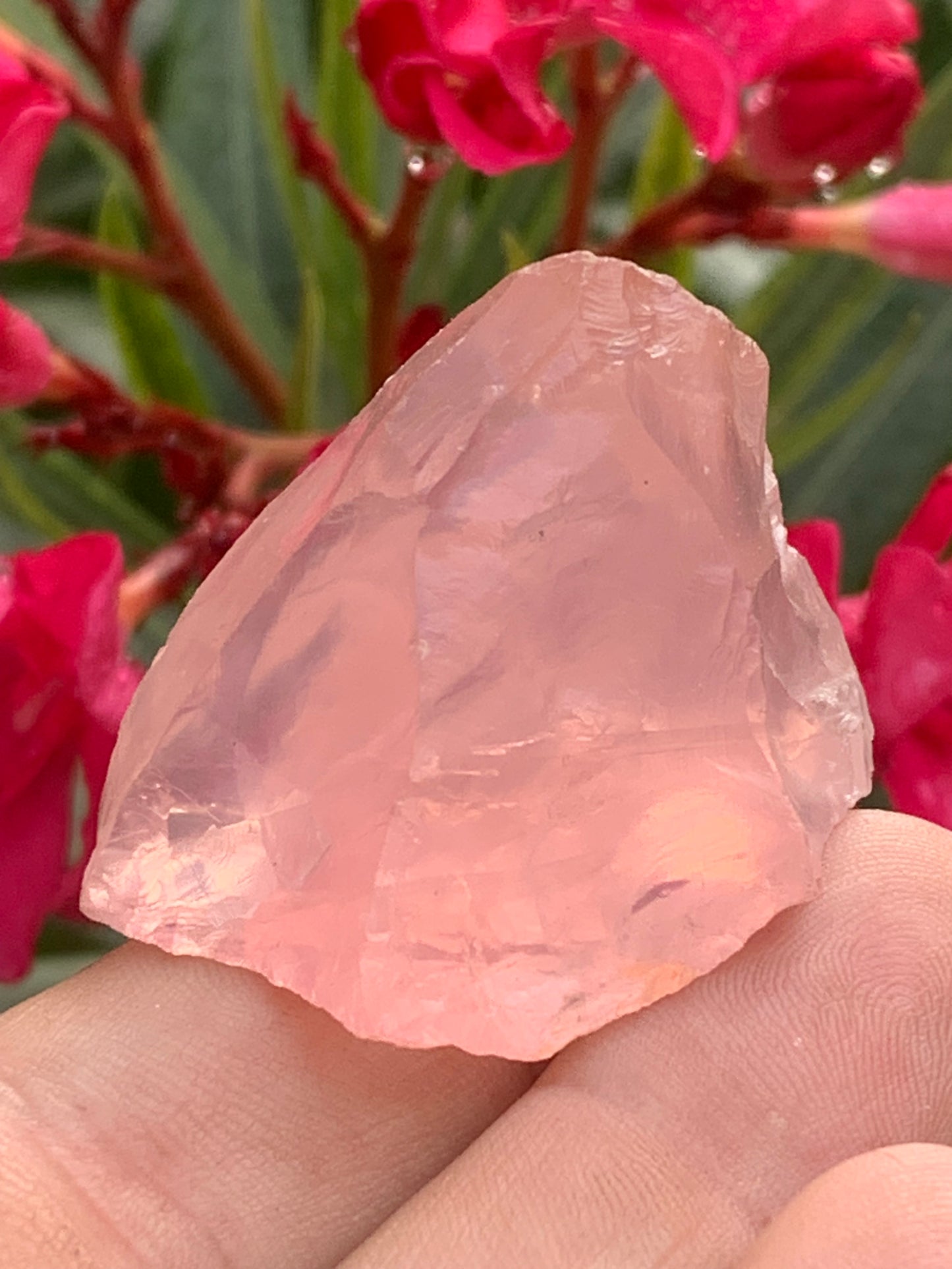 Quartz rose qualité 'gemme' (rare) de 44 x30 x27 millimètres - 35,2 grammes. Superbe qualité, parfait pour vos collections, expositions...