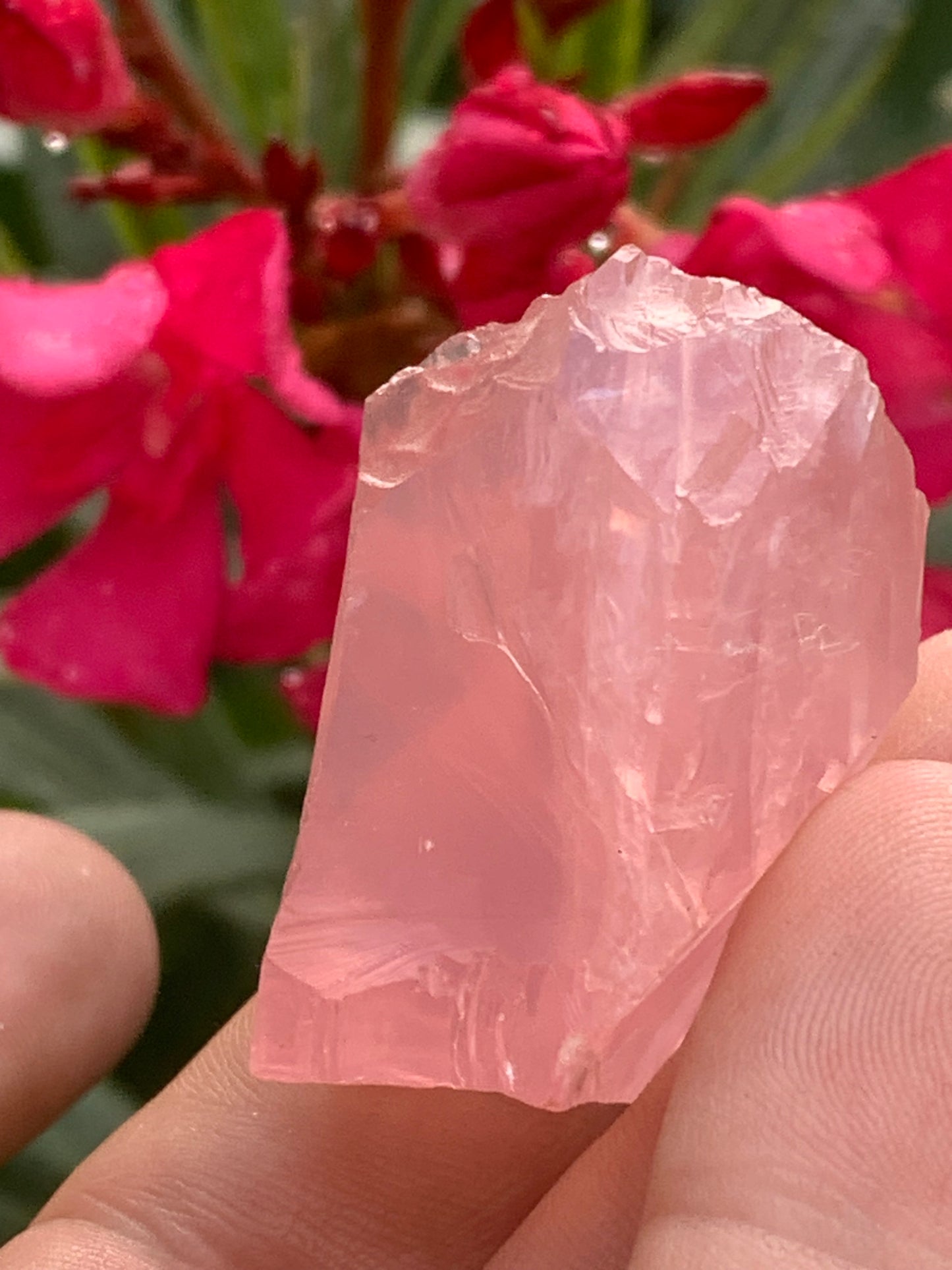 Quartz rose qualité 'gemme' (rare) de 40 x32 x28 millimètres - 38,3 grammes. Superbe qualité, parfait pour vos collections, expositions...