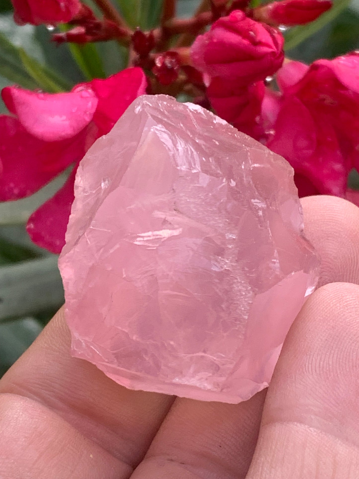 Quartz rose qualité 'gemme' (rare) de 40 x32 x28 millimètres - 38,3 grammes. Superbe qualité, parfait pour vos collections, expositions...