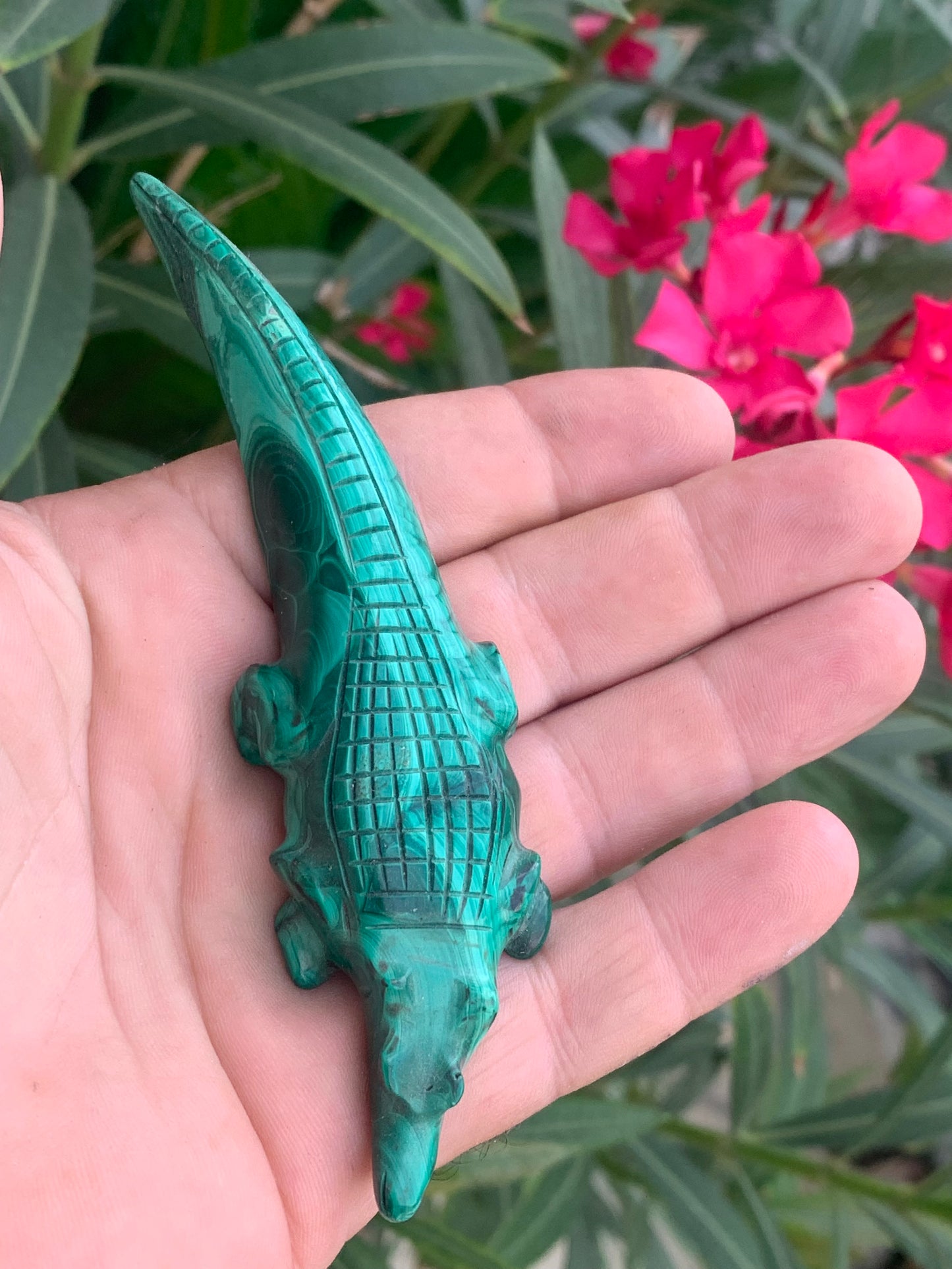 Malachite, superbe crocodile de 83,7 grammes - 122mm x 32 x 17. Parfait pour une collection, exposition, décoration ! !