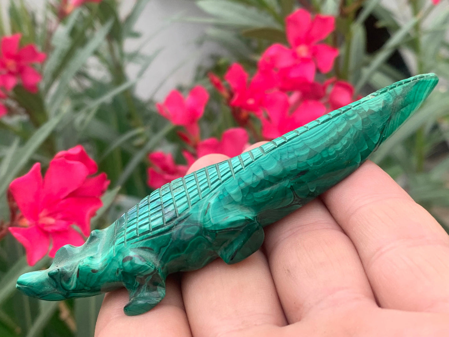 Malachite, superbe crocodile de 83,7 grammes - 122mm x 32 x 17. Parfait pour une collection, exposition, décoration ! !