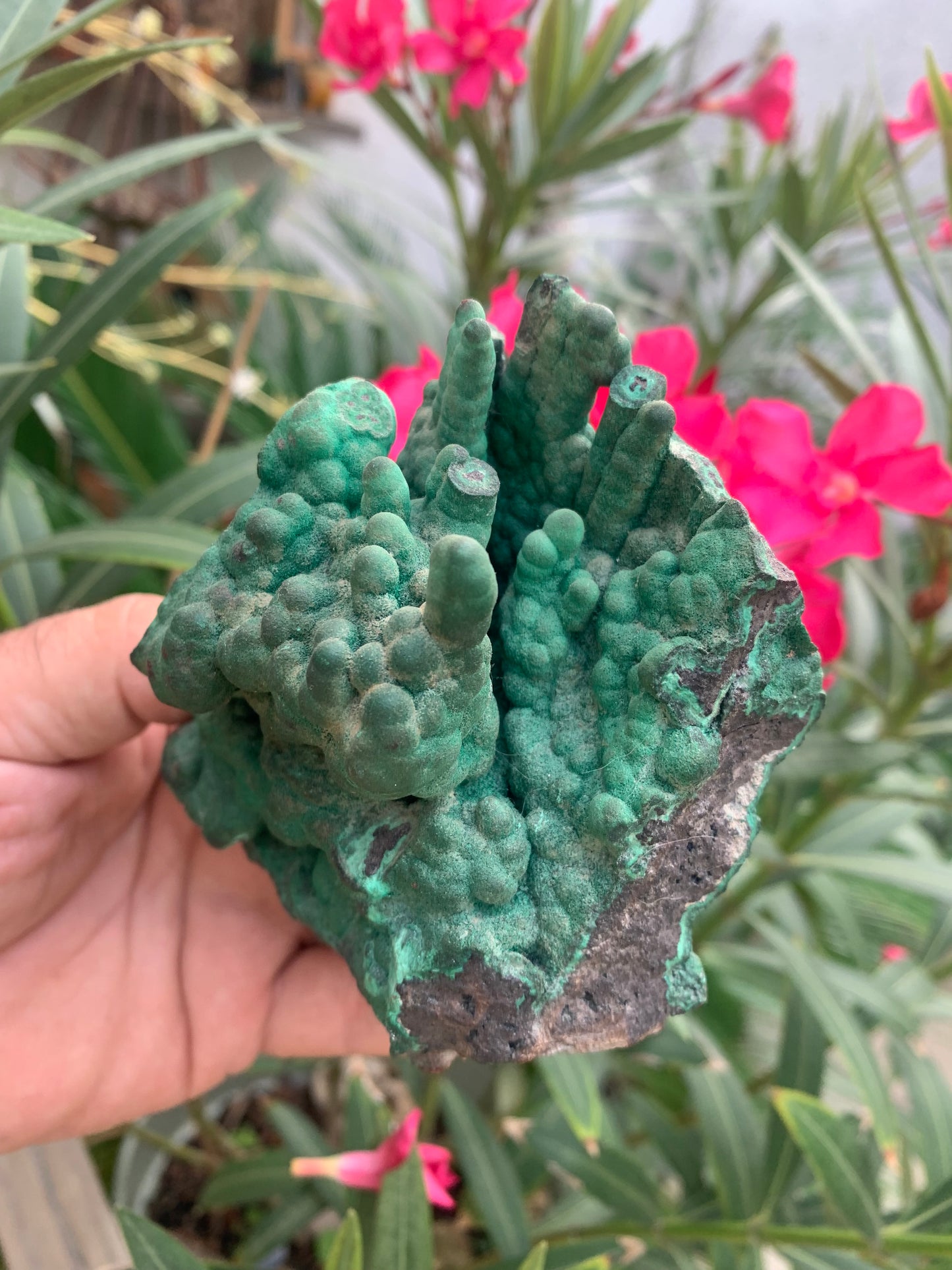 Malachite, superbe spécimen de taille XL de 723 grammes - 105mm x 100 x 75. Parfait pour une collection, exposition ou la bijouterie !