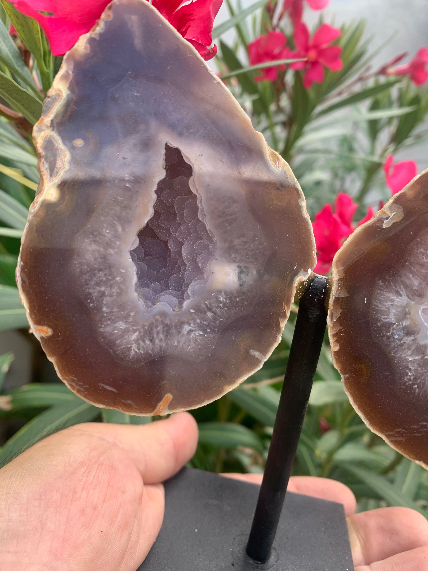 Agate, géode 'papillon' en 2 parties (sur socle dédié) de 150x 95 x 38 millimètres - 731 milligrammes. Superbe qualité, incroyables effets positifs pour vos collections, expositions...