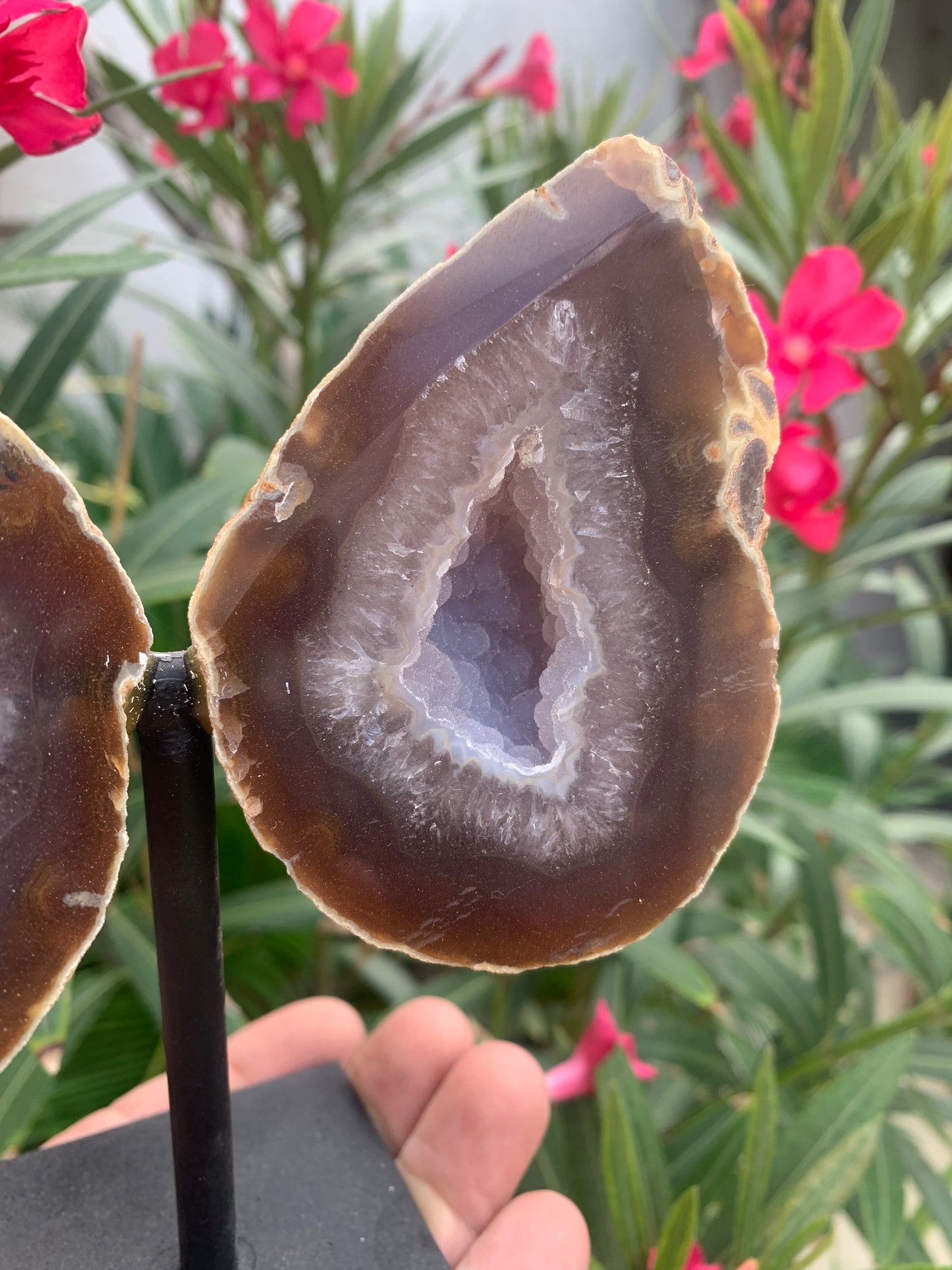 Agate, géode 'papillon' en 2 parties (sur socle dédié) de 150x 95 x 38 millimètres - 731 milligrammes. Superbe qualité, incroyables effets positifs pour vos collections, expositions...