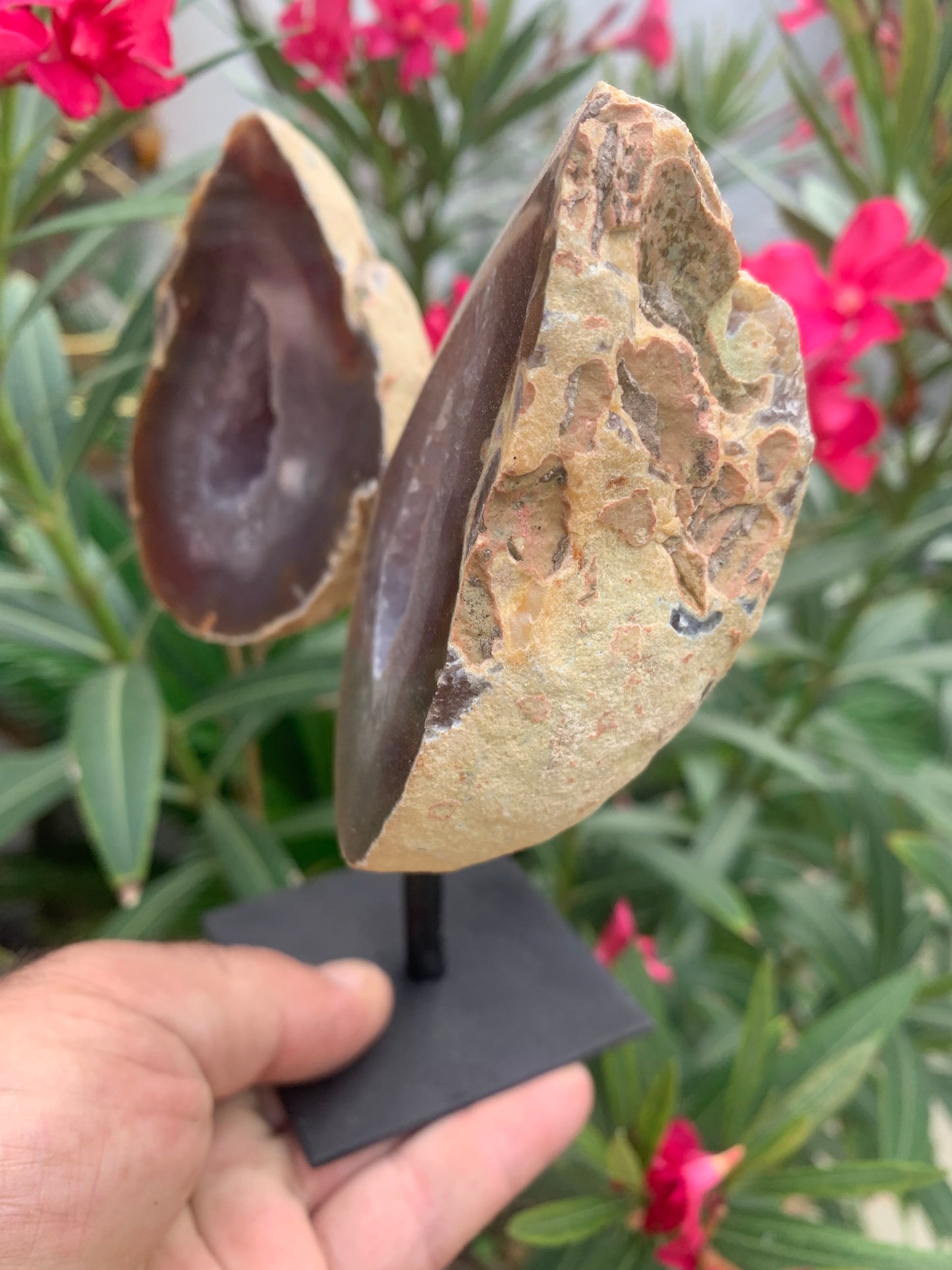 Agate, géode 'papillon' en 2 parties (sur socle dédié) de 150x 95 x 38 millimètres - 731 milligrammes. Superbe qualité, incroyables effets positifs pour vos collections, expositions...