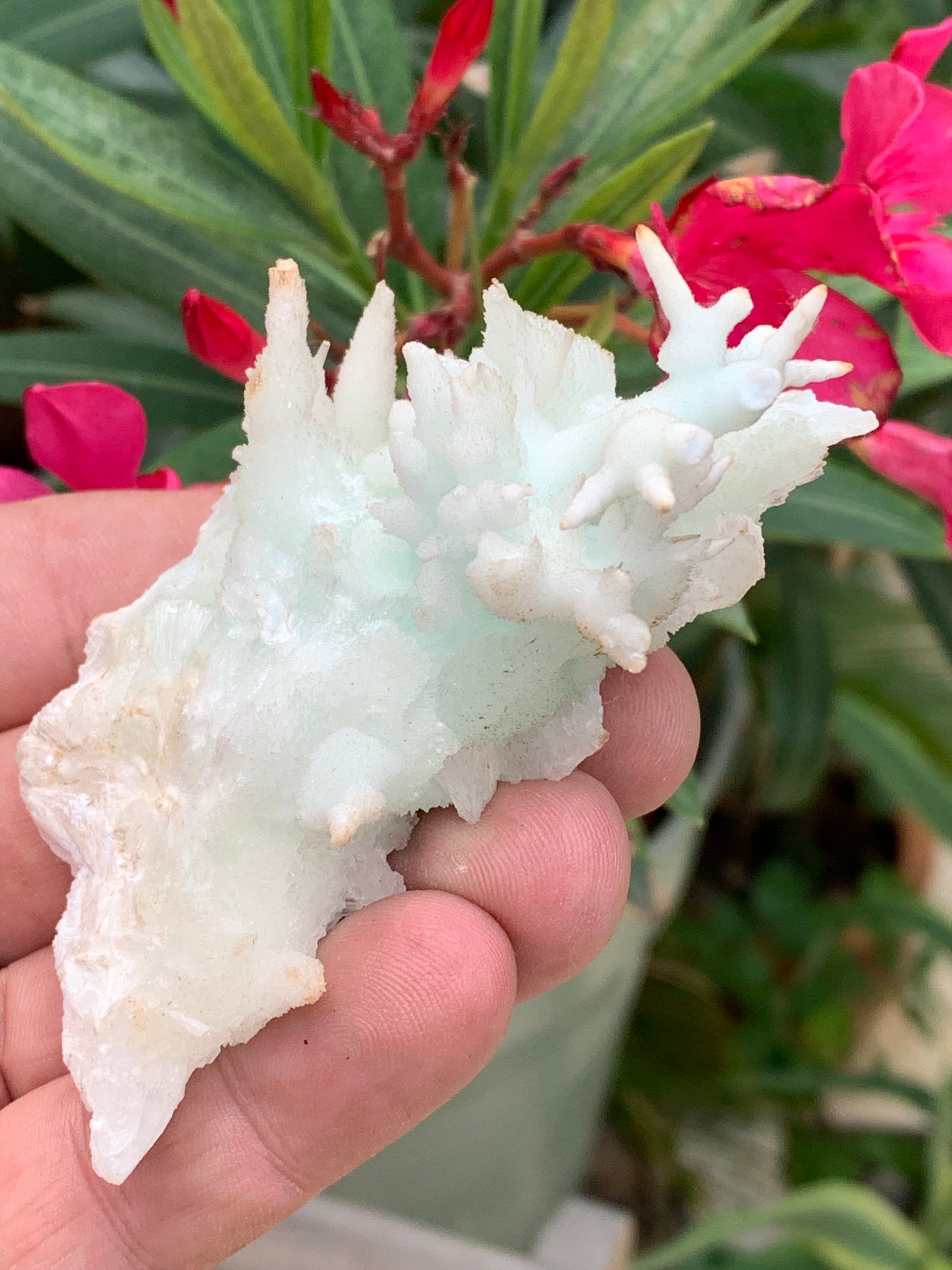 Aragonite verte de France, magnifique spécimen de 86 x 62 x 42 mm - 103,3 grammes. Des formes rares et uniques, une couleur superbe !