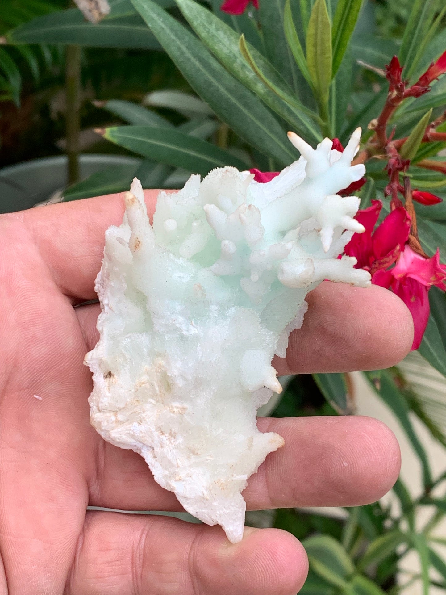Aragonite verte de France, magnifique spécimen de 86 x 62 x 42 mm - 103,3 grammes. Des formes rares et uniques, une couleur superbe !