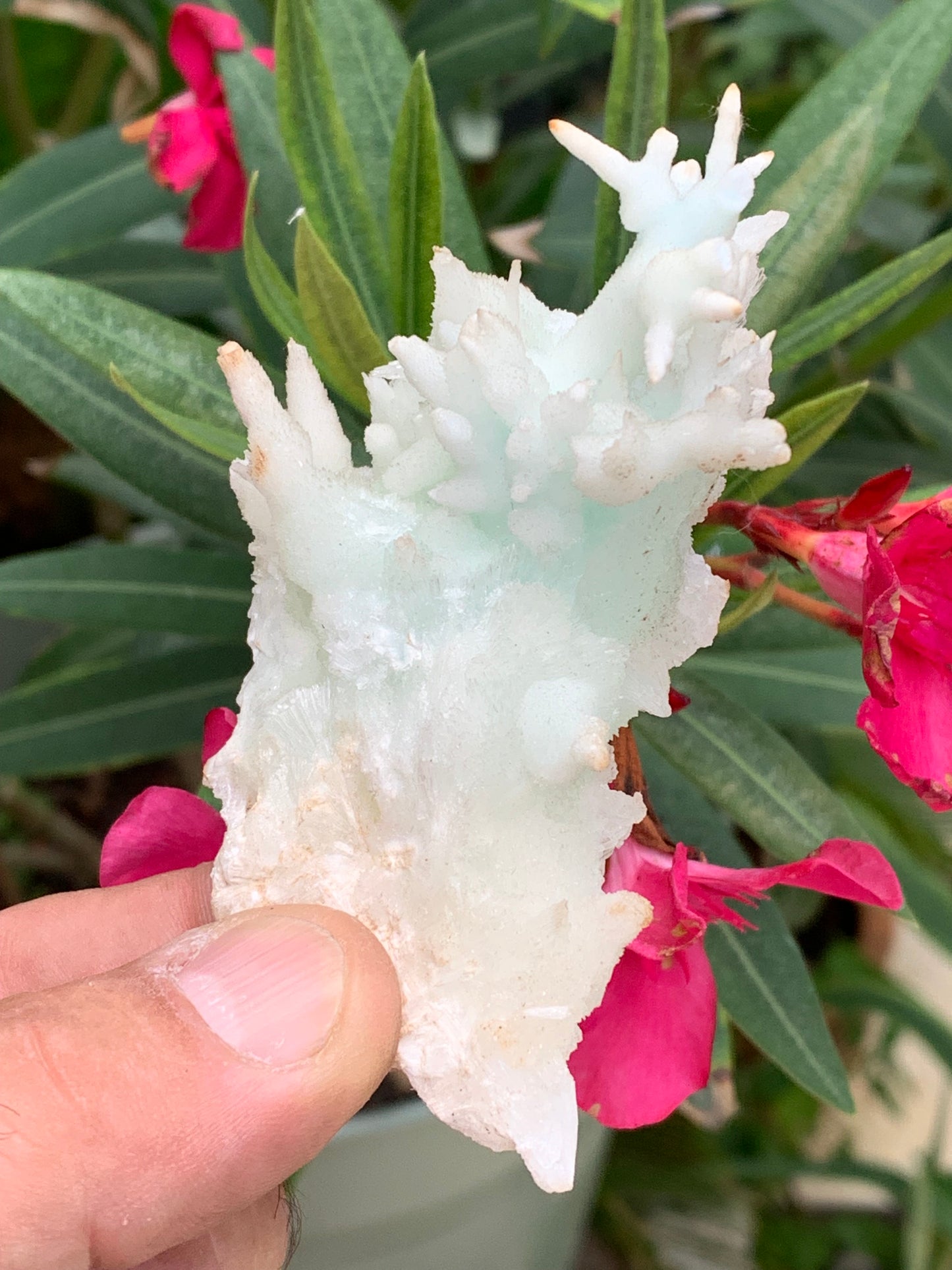 Aragonite verte de France, magnifique spécimen de 86 x 62 x 42 mm - 103,3 grammes. Des formes rares et uniques, une couleur superbe !