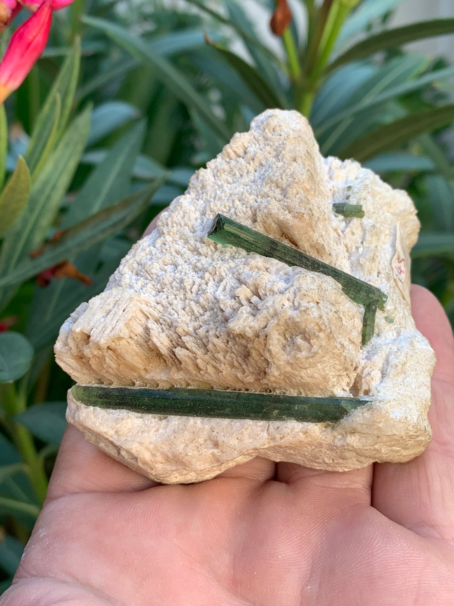 Tourmaline verte/ Verdélite, spécimen naturel de 183 x 62 x 35 mm - 144,5 grammes environ. 2 magnifiques cristaux de belle longueur !