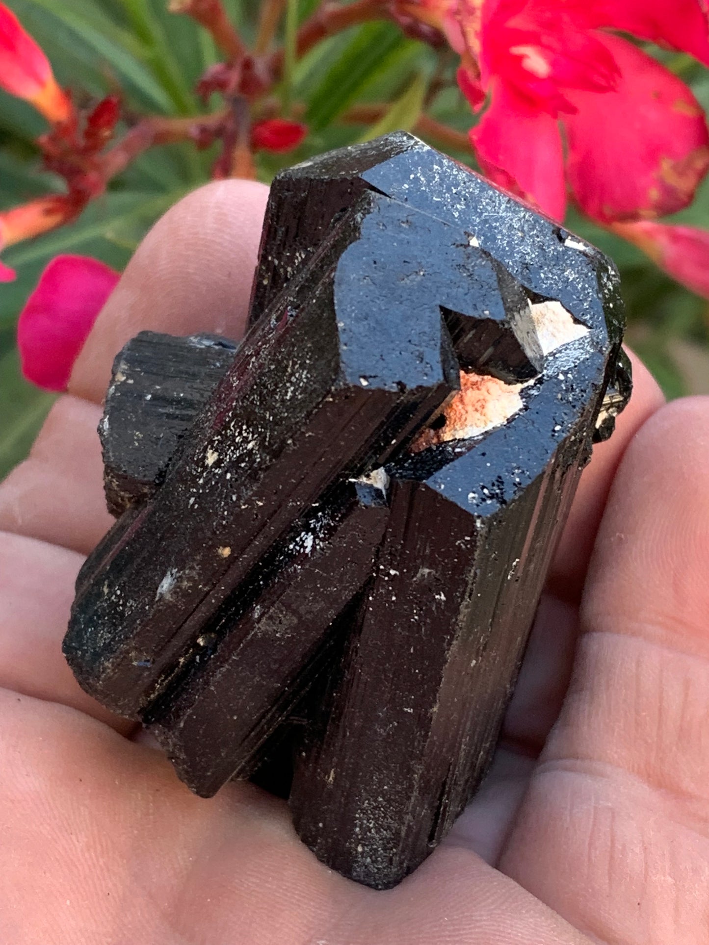 Black tourmaline, natural specimen measuring 62 x 44 x 42 mm - 136 grams. A very beautiful piece representative of the variety!