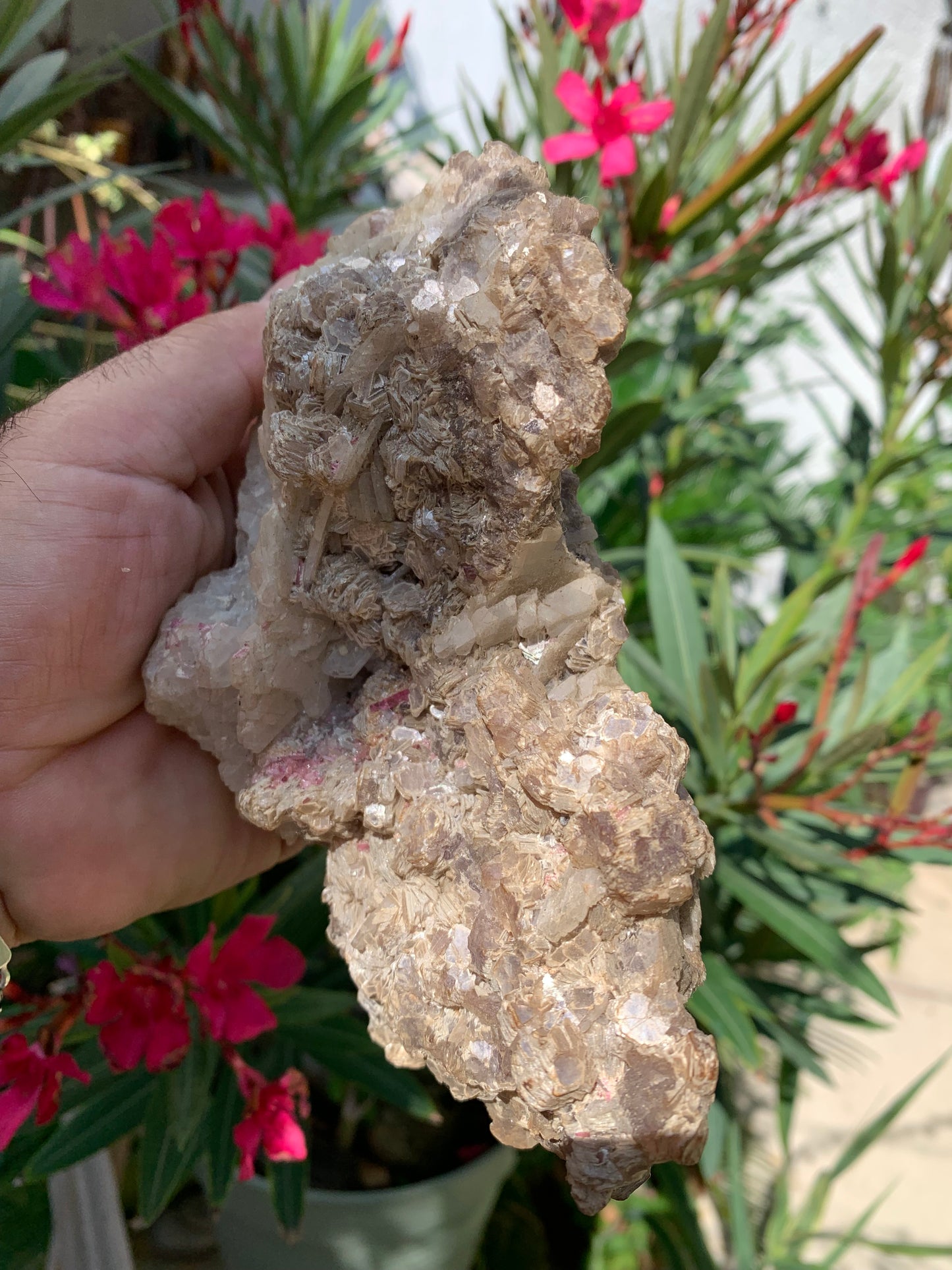 Conglomérat avec Apophyllite, muscovite et Tourmaline Rubellite, superbe spècimen naturel de 170 mm x 90 x 113 - 1 158 grammes !