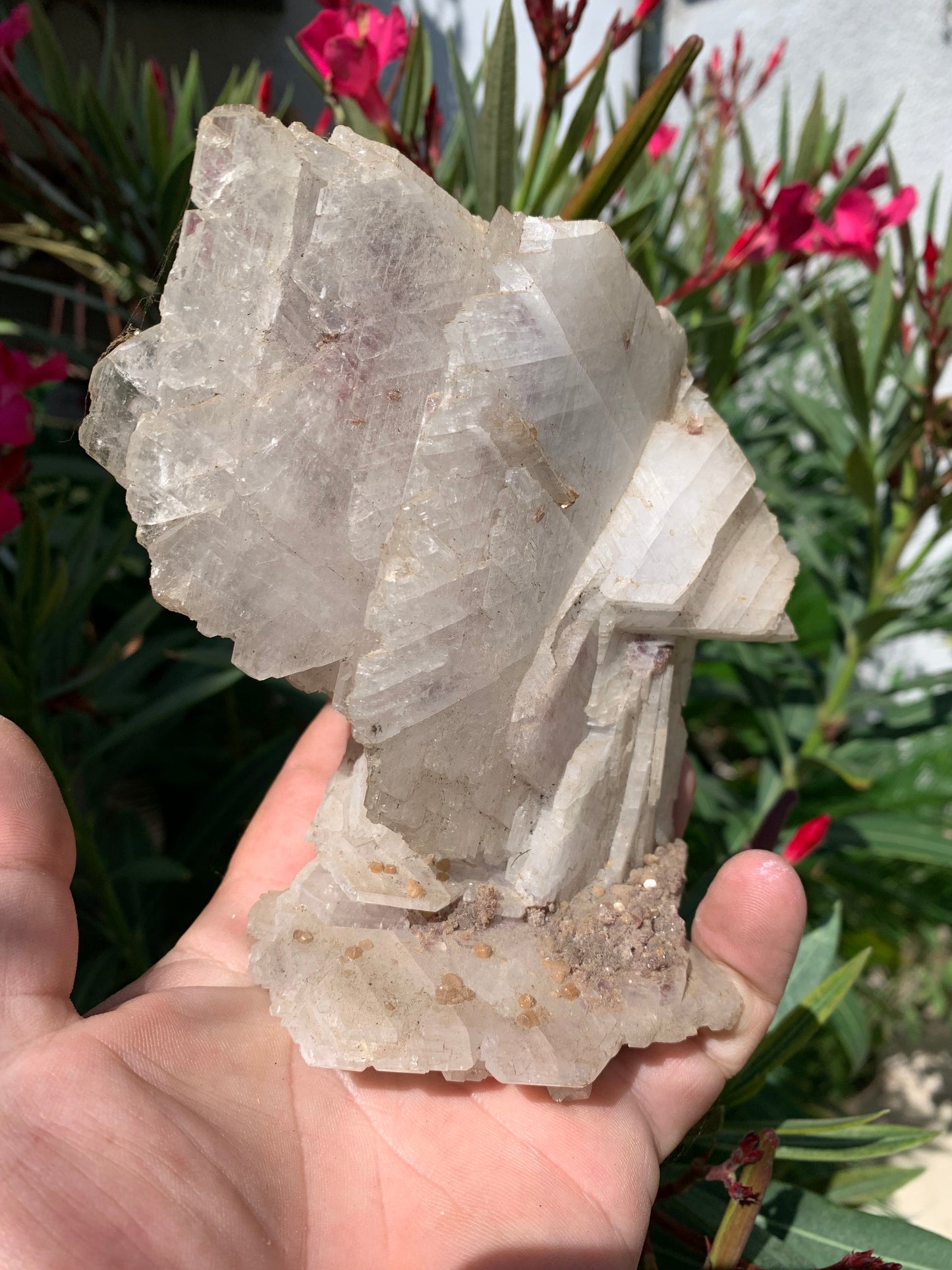 Apophyllite, superbe spécimen naturel de 155 x 125 x 70 mm - 725 grammes. Magnifique pièce de minéralogie du Brésil !