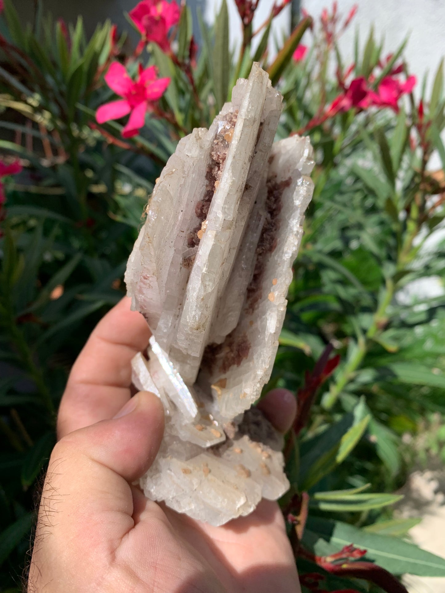 Apophyllite, superbe spécimen naturel de 155 x 125 x 70 mm - 725 grammes. Magnifique pièce de minéralogie du Brésil !