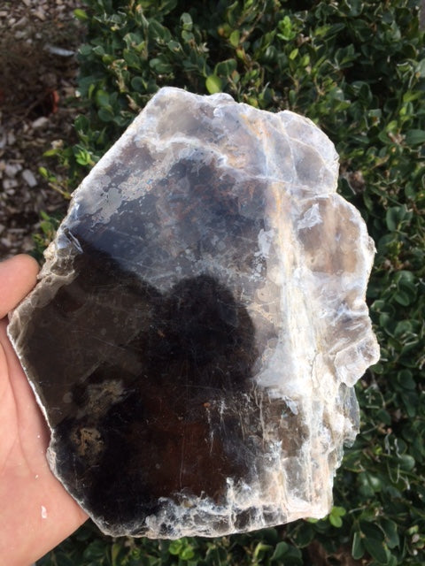 Mica noir ou Biotite - Tranche naturelle de 120 grammes - de 130 x 100 x 9mm ! Superbe et pièce rare !