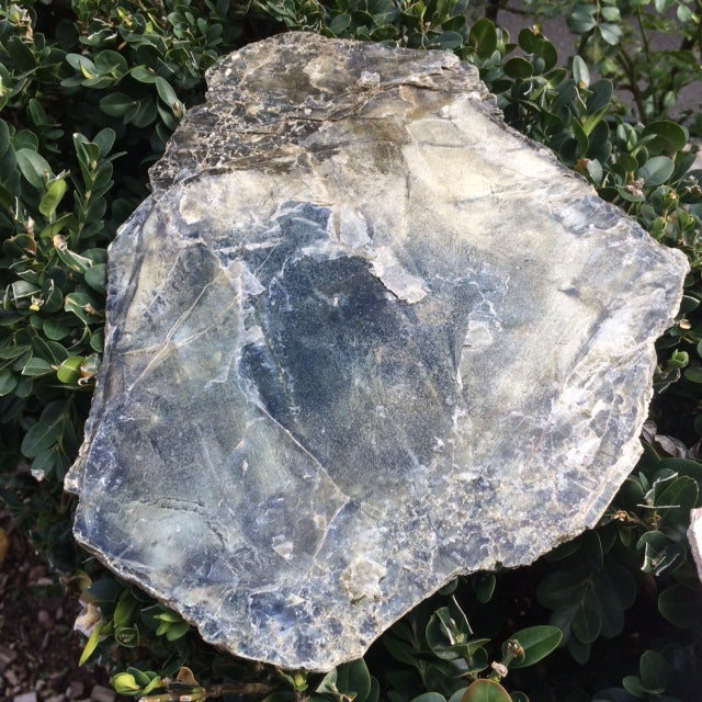 Mica noir ou Biotite - Tranche naturelle de 250 grammes - de 40 x 30 x 10mm ! Superbe et pièce rare !