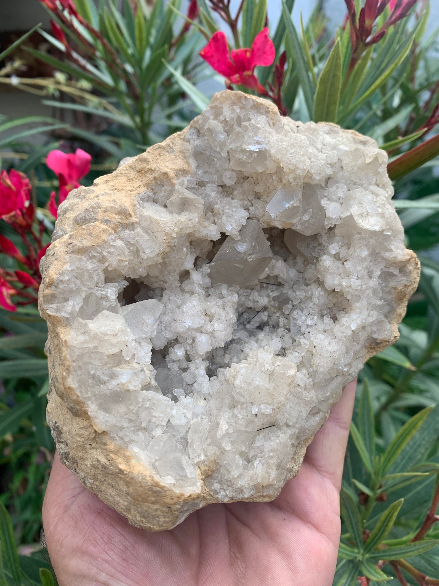 Apophyllite, superbe druse/ géode de 150 x 120 x 90 mm - 1 760 grammes. Magnifique pièce de minéralogie !