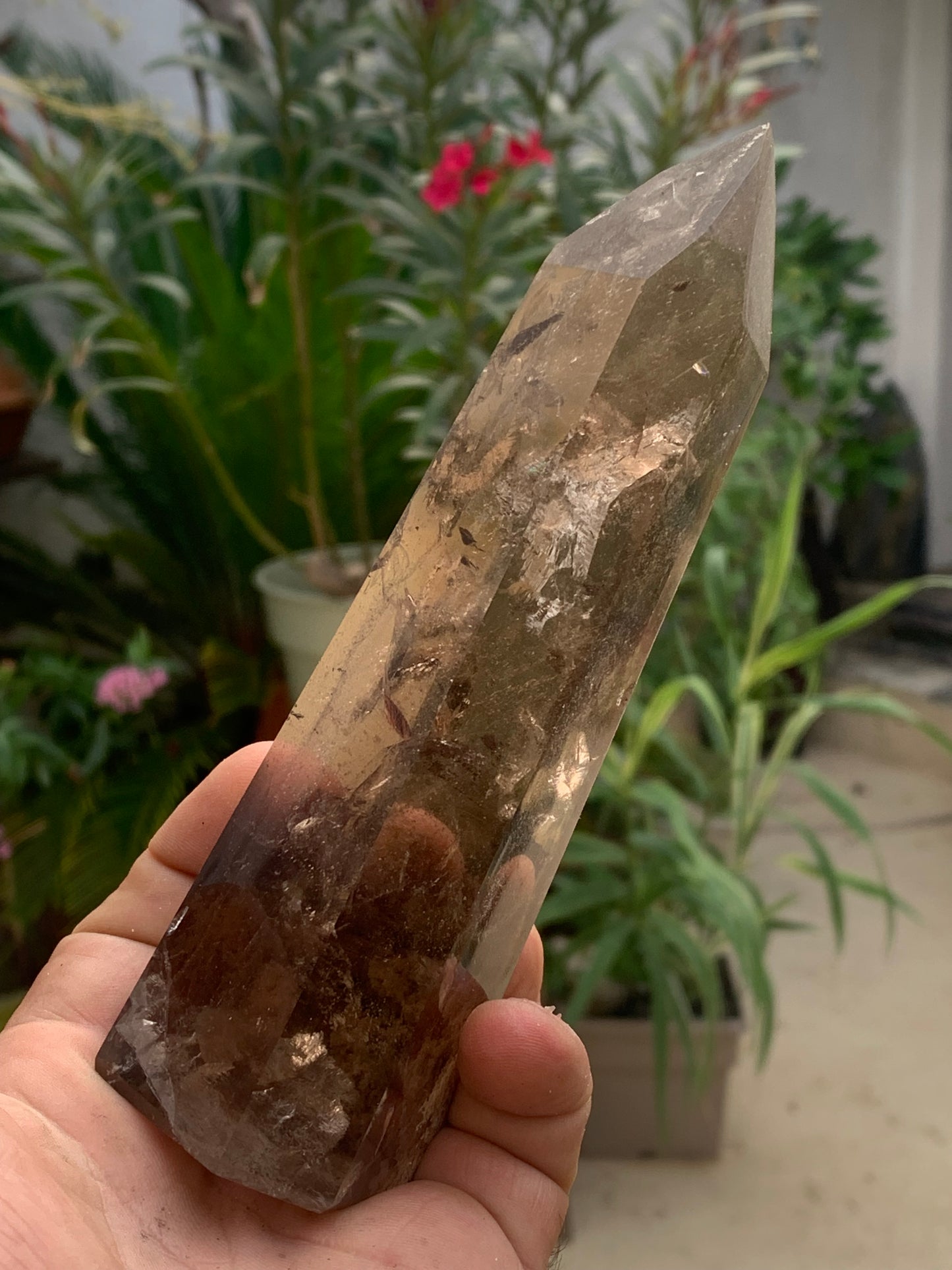 Cristal de roche fumé/ Quartz fumé, pointe laser de 160 x 50 x 44 mm - 446 grammes. Magnifique pièce pour exposition, lithothérapie, collection !