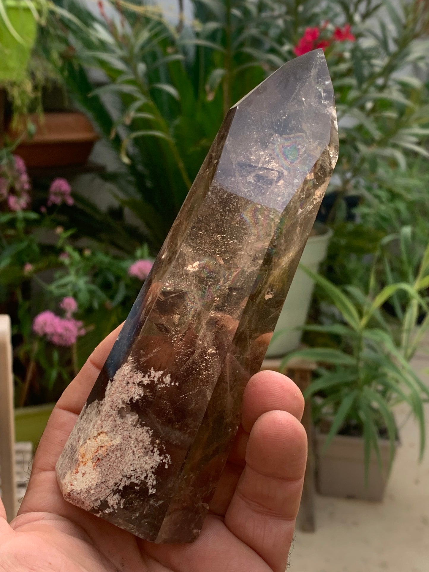 Cristal de roche fumé/ Quartz fumé, pointe laser de 160 x 50 x 44 mm - 446 grammes. Magnifique pièce pour exposition, lithothérapie, collection !