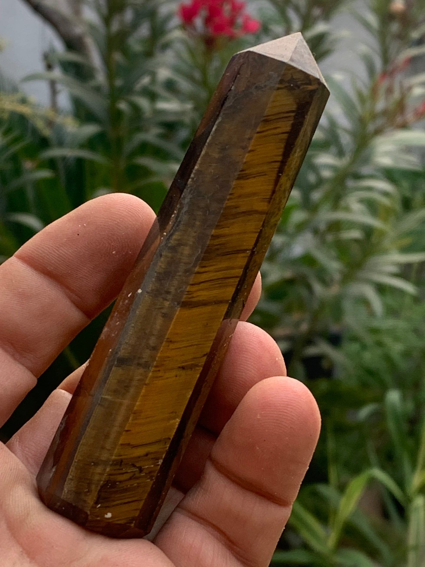 Oeil de tigre, pointe laser de 104 x 23 x 23 mm - 104 grammes. Magnifique pièce pour exposition, lithothérapie, collection !