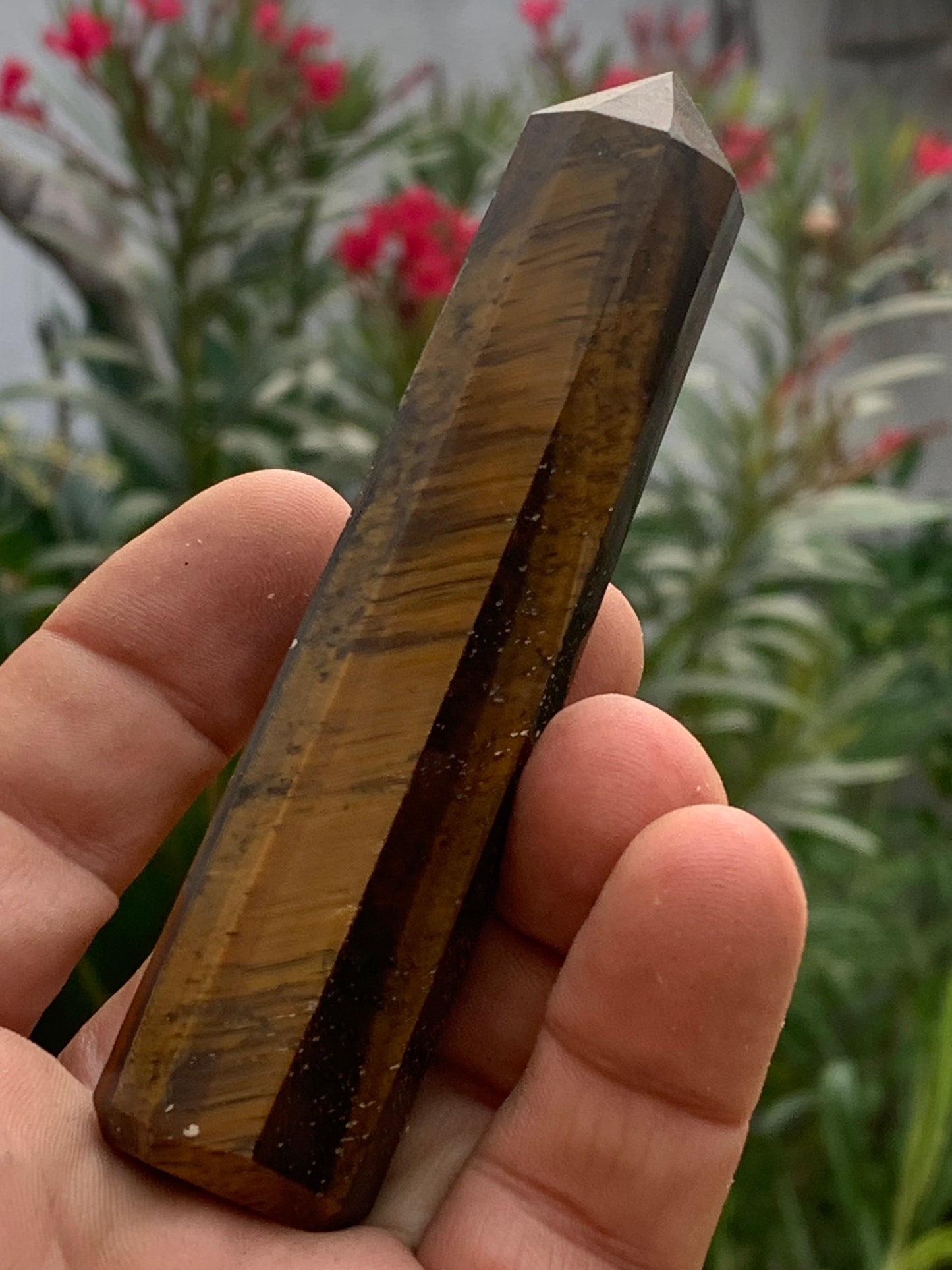 Oeil de tigre, pointe laser de 104 x 23 x 23 mm - 104 grammes. Magnifique pièce pour exposition, lithothérapie, collection !