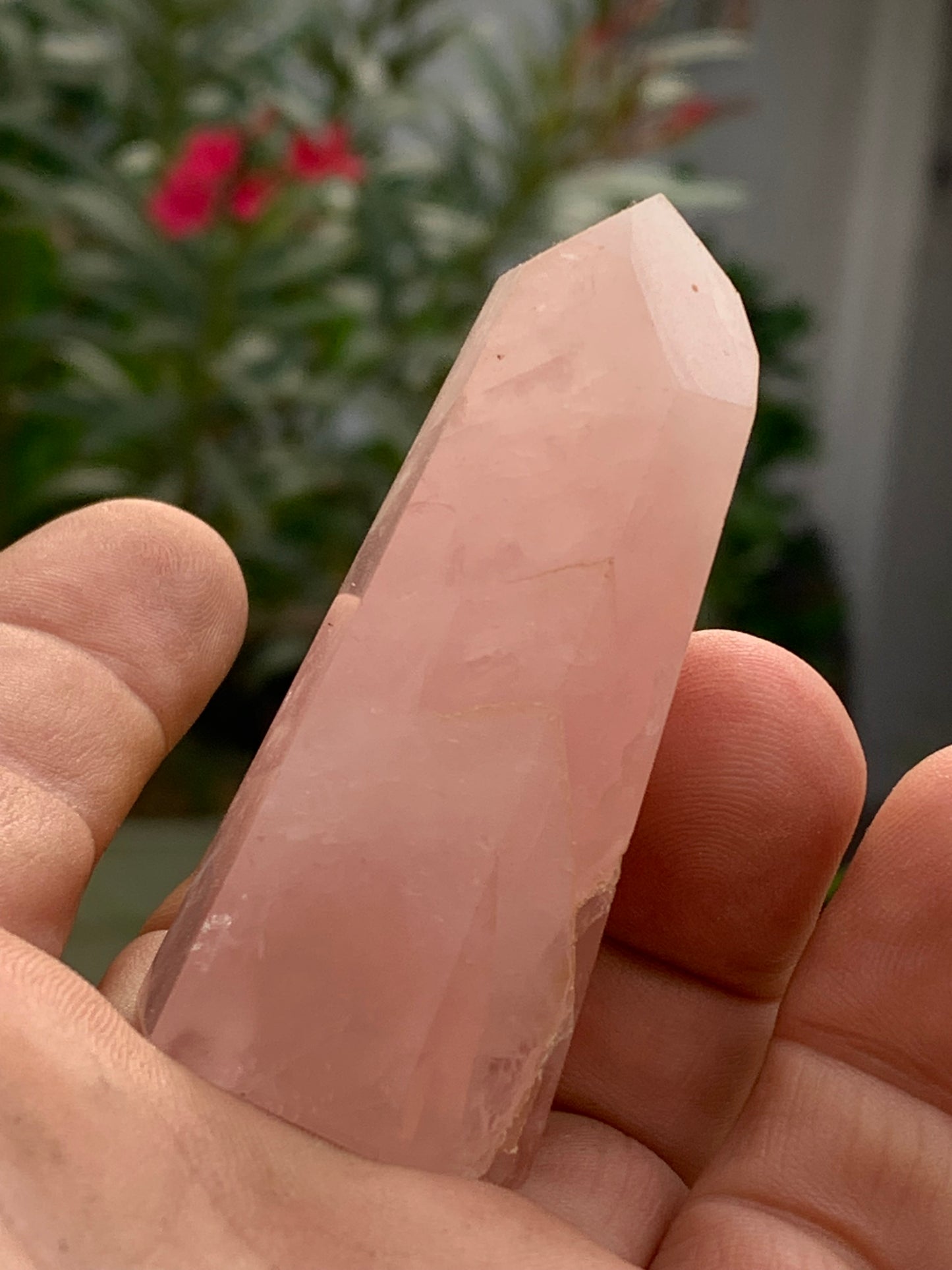 Quartz rose, pointe laser de 62 x 28 x 24 millimètres - 58 grammes. Superbe qualité, parfait pour vos collections, expositions...