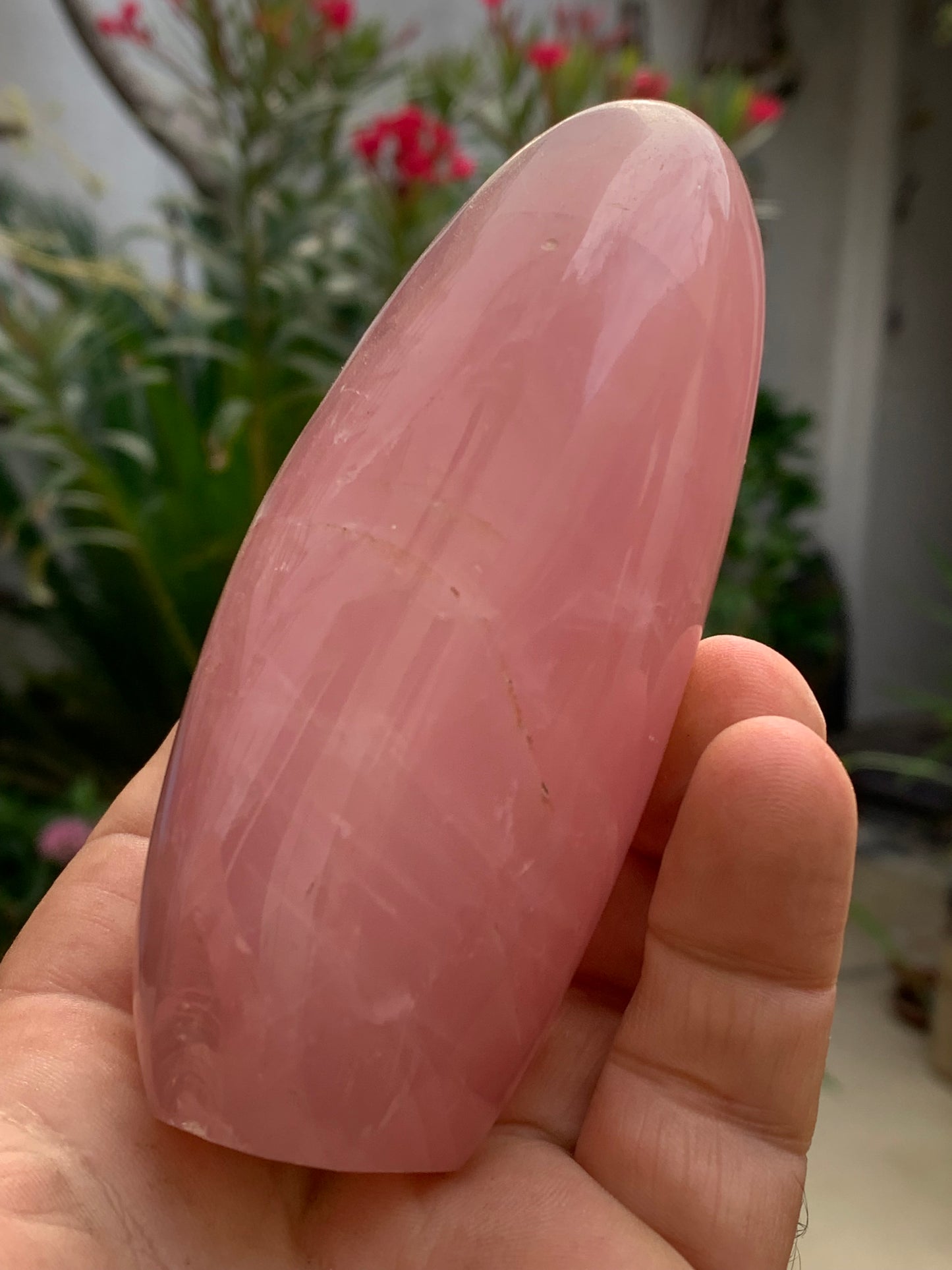 Quartz rose, forme libre de 108 x 62 x 46 millimètres - 447 grammes. Superbe qualité, parfait pour vos collections, expositions...