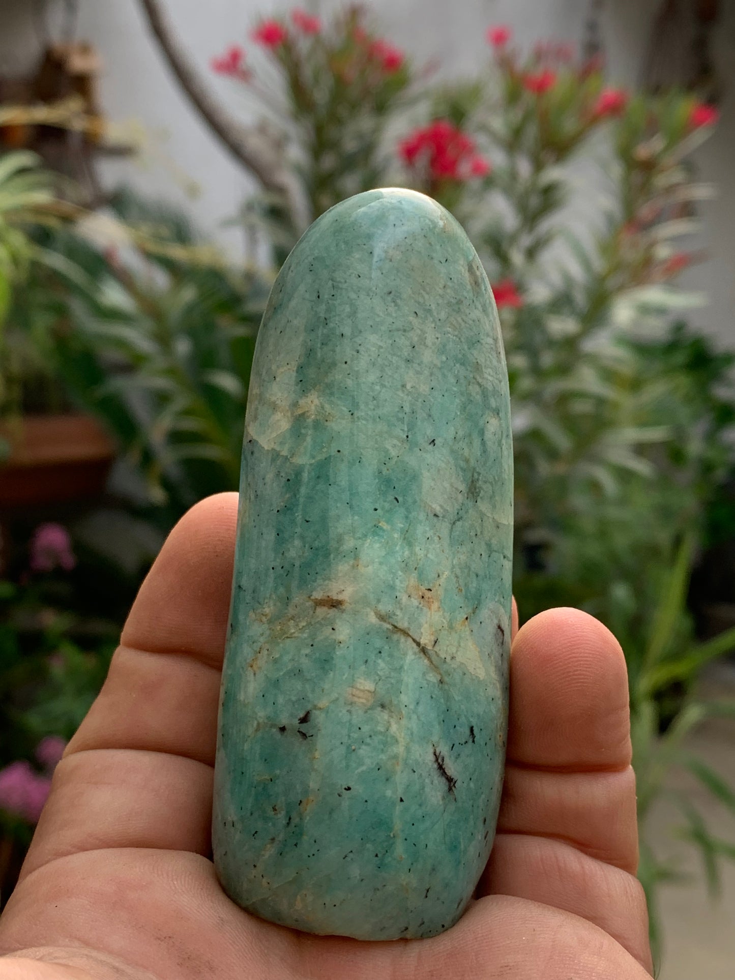Amazonite, forme libre de 93 mm x 38 x 32 - 173,5 grammes. Belle qualité, magnifique pièce !