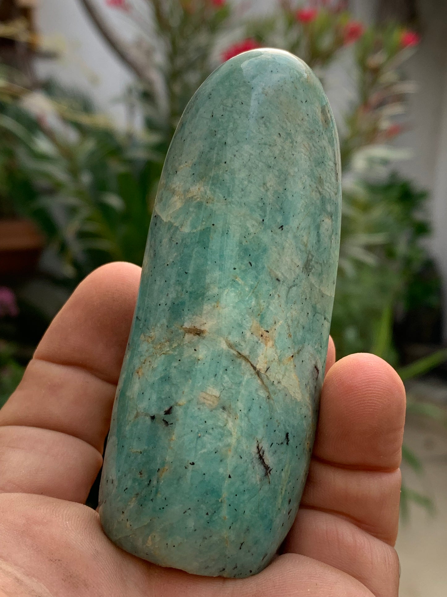 Amazonite, forme libre de 93 mm x 38 x 32 - 173,5 grammes. Belle qualité, magnifique pièce !