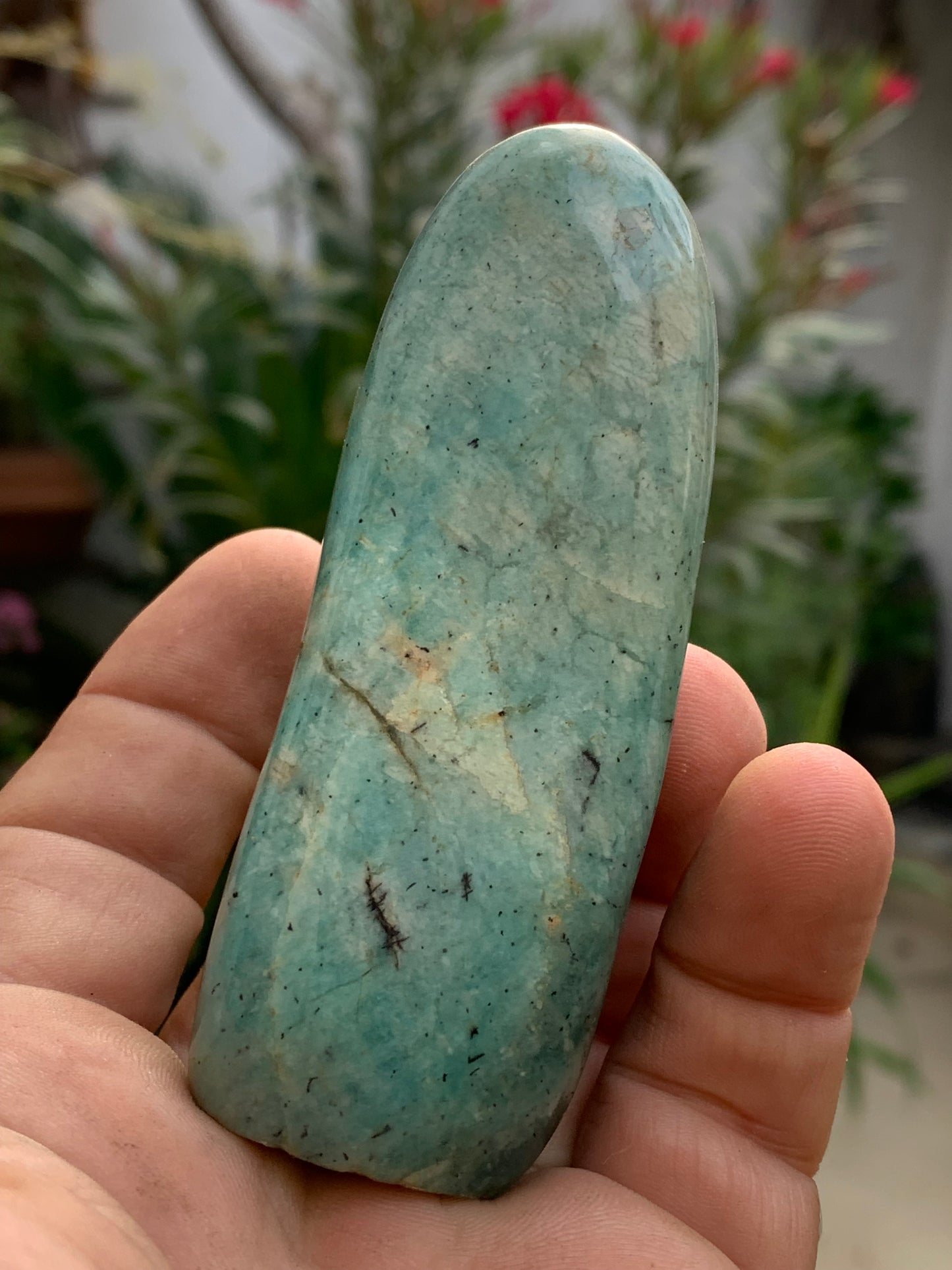 Amazonite, forme libre de 93 mm x 38 x 32 - 173,5 grammes. Belle qualité, magnifique pièce !