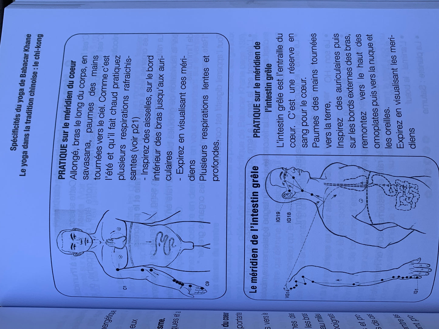 L’enseignement de Babacar Khane : Yoga des Pharaons, Hatha Yoga et Yoga Tahoïste Chinois par Josette Frignac et Manon Lemaire. Superbe livre, complet et enrichissant !