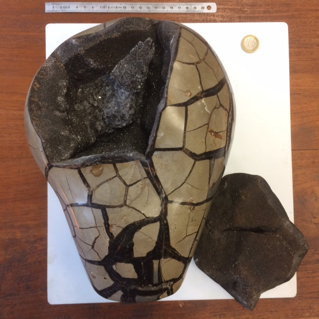 Septaria, géode entière en 2 parties, 8,8 kilogrammes, 28 x 20 x 12 centimètres de diamètre. Vendu avec socle en métal sur mesure. Superbe qualité AA, en provenance de Madagascar. Incroyables effets positifs pour vos collections, expositions...parfait !