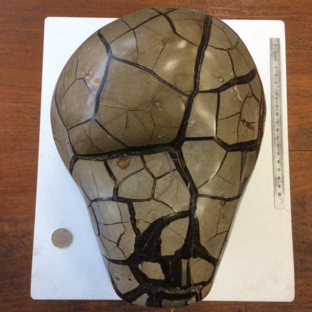 Septaria, géode entière en 2 parties, 8,8 kilogrammes, 28 x 20 x 12 centimètres de diamètre. Vendu avec socle en métal sur mesure. Superbe qualité AA, en provenance de Madagascar. Incroyables effets positifs pour vos collections, expositions...parfait !