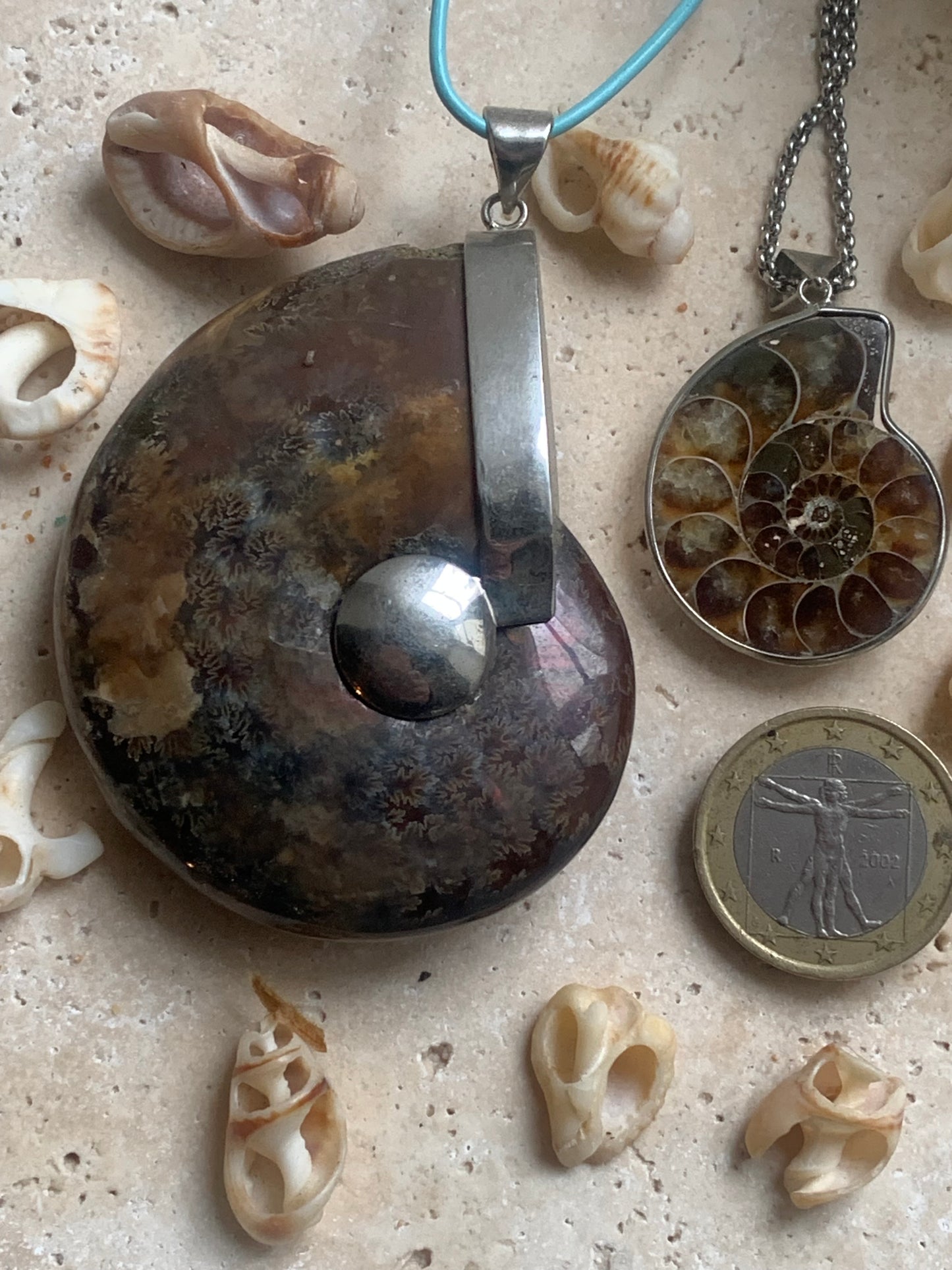 Pendentifs d'Ammonites fossiles, disponibles en 2 tailles, 60x50x20 et 35x25x10 mm. Chaque pièce est authentique et unique, révélant les spirales naturelles et les motifs fascinants de ce fossile. Livrés avec cordon coulissant, prêt à porté ou à offrir !