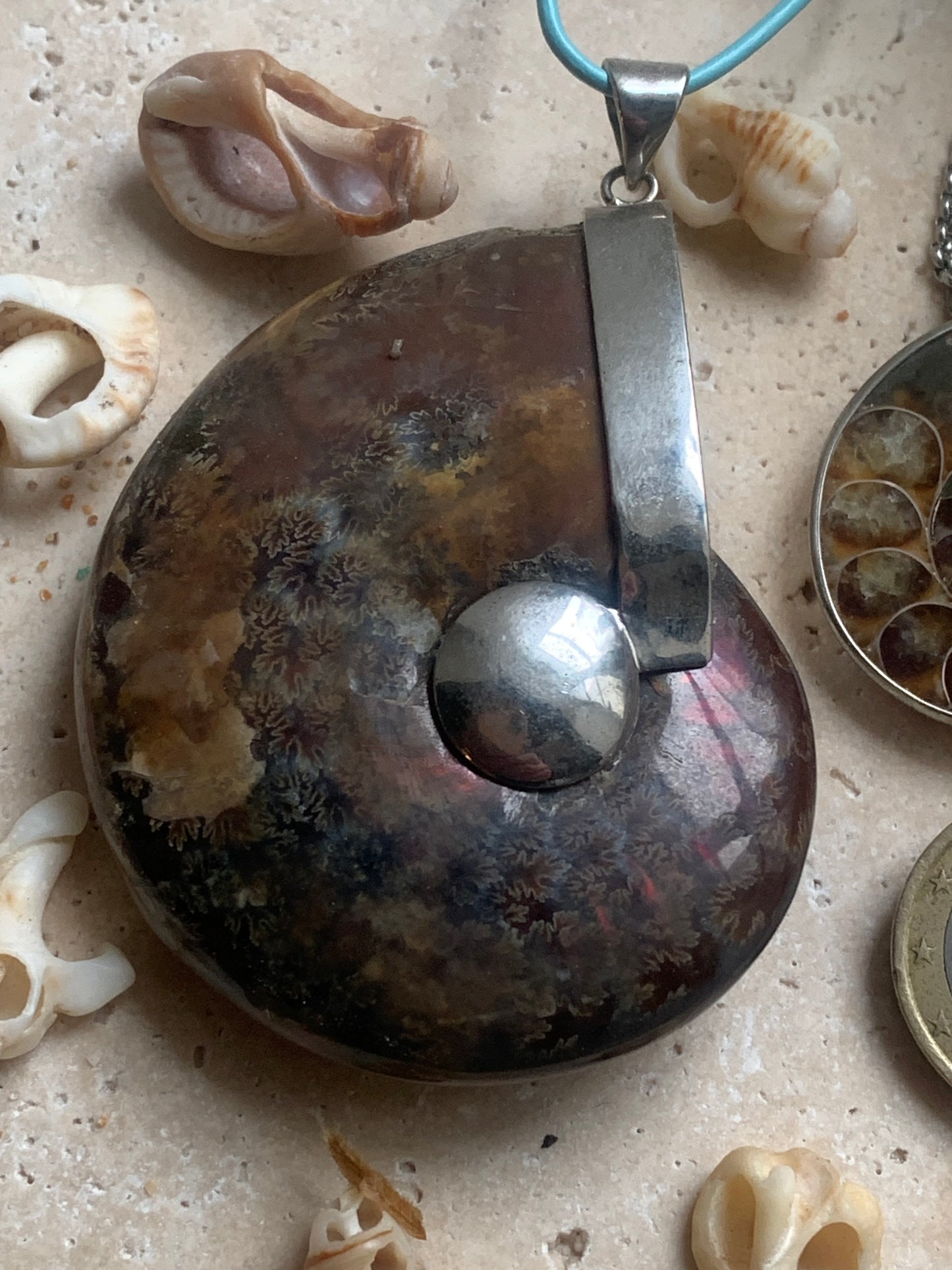 Pendentifs d'Ammonites fossiles, disponibles en 2 tailles, 60x50x20 et 35x25x10 mm. Chaque pièce est authentique et unique, révélant les spirales naturelles et les motifs fascinants de ce fossile. Livrés avec cordon coulissant, prêt à porté ou à offrir !