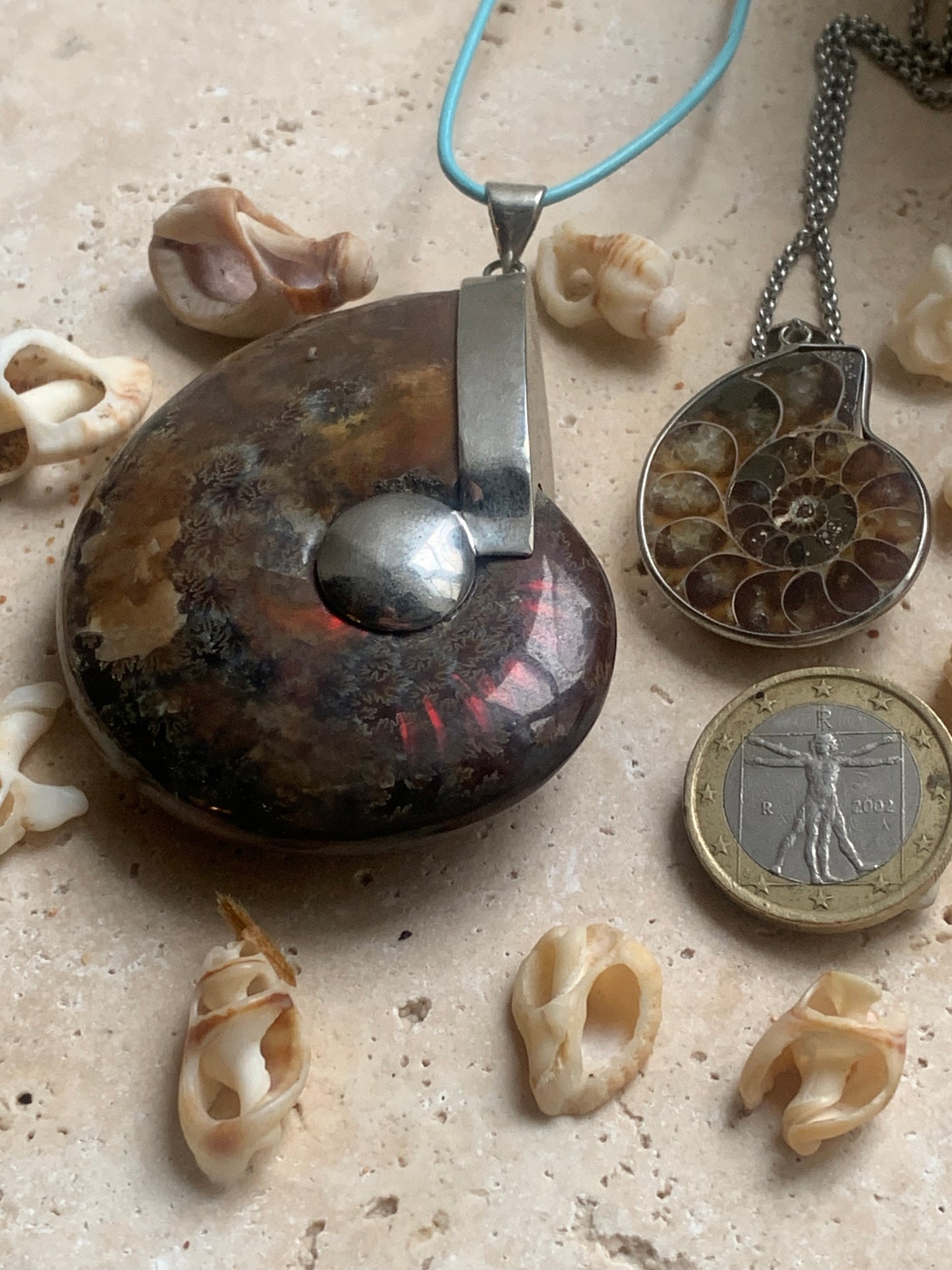 Pendentifs d'Ammonites fossiles, disponibles en 2 tailles, 60x50x20 et 35x25x10 mm. Chaque pièce est authentique et unique, révélant les spirales naturelles et les motifs fascinants de ce fossile. Livrés avec cordon coulissant, prêt à porté ou à offrir !