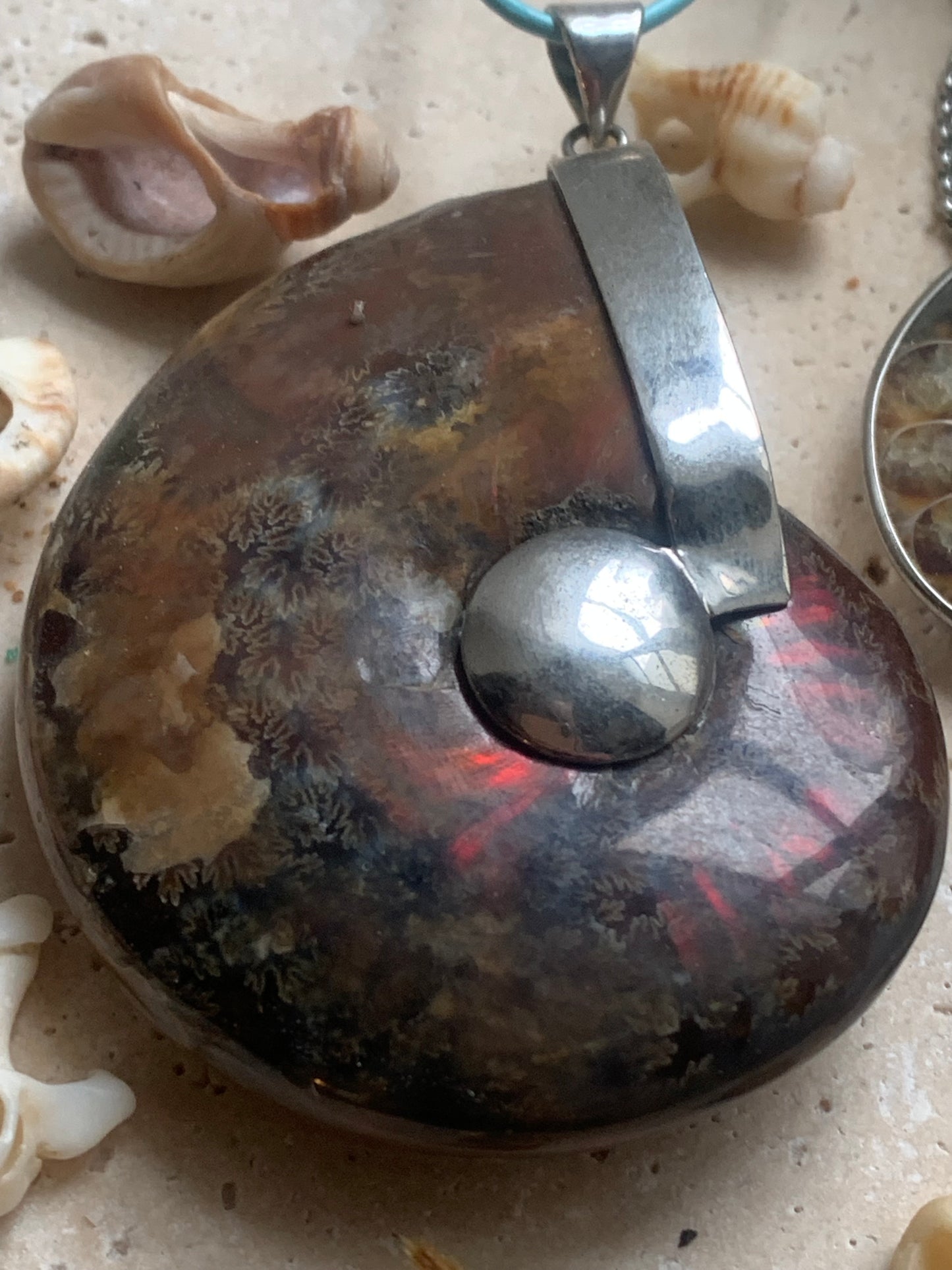 Pendentifs d'Ammonites fossiles, disponibles en 2 tailles, 60x50x20 et 35x25x10 mm. Chaque pièce est authentique et unique, révélant les spirales naturelles et les motifs fascinants de ce fossile. Livrés avec cordon coulissant, prêt à porté ou à offrir !