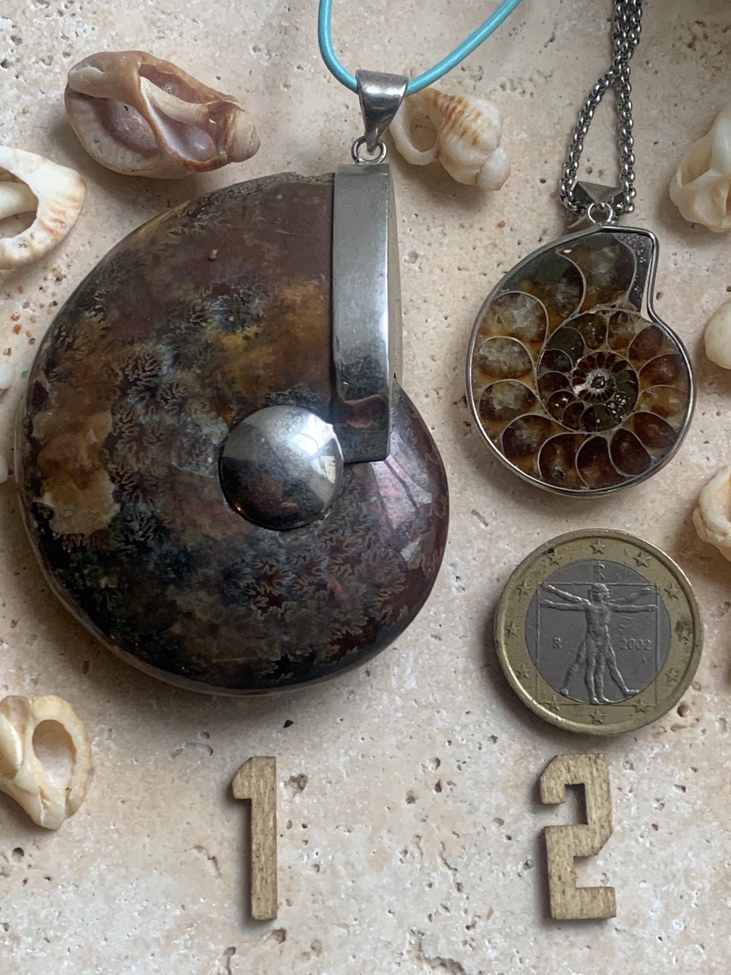 Pendentifs d'Ammonites fossiles, disponibles en 2 tailles, 60x50x20 et 35x25x10 mm. Chaque pièce est authentique et unique, révélant les spirales naturelles et les motifs fascinants de ce fossile. Livrés avec cordon coulissant, prêt à porté ou à offrir !