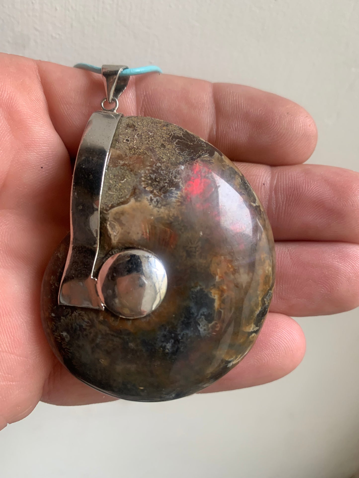 Pendentifs d'Ammonites fossiles, disponibles en 2 tailles, 60x50x20 et 35x25x10 mm. Chaque pièce est authentique et unique, révélant les spirales naturelles et les motifs fascinants de ce fossile. Livrés avec cordon coulissant, prêt à porté ou à offrir !