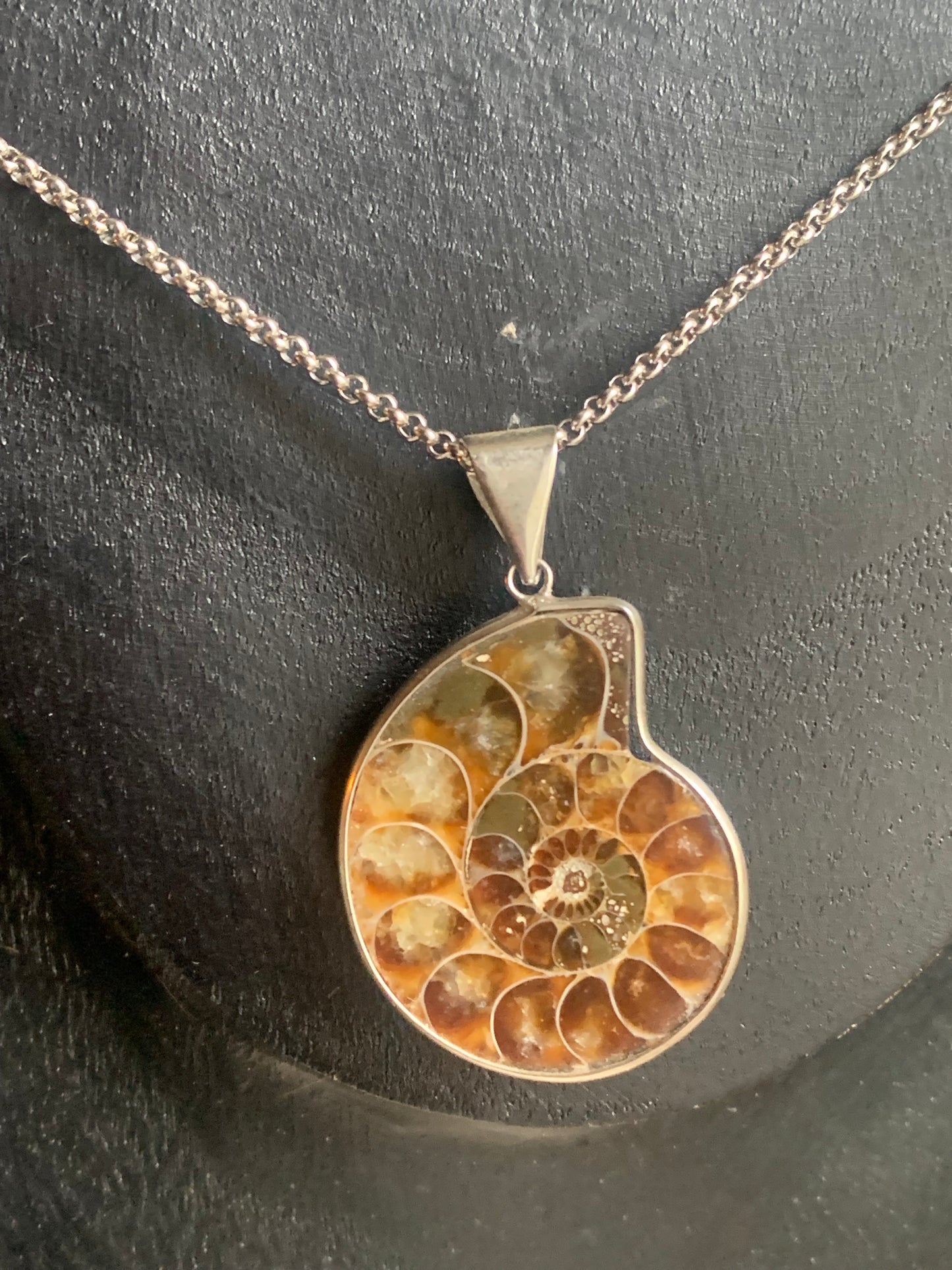 Pendentifs d'Ammonites fossiles, disponibles en 2 tailles, 60x50x20 et 35x25x10 mm. Chaque pièce est authentique et unique, révélant les spirales naturelles et les motifs fascinants de ce fossile. Livrés avec cordon coulissant, prêt à porté ou à offrir !