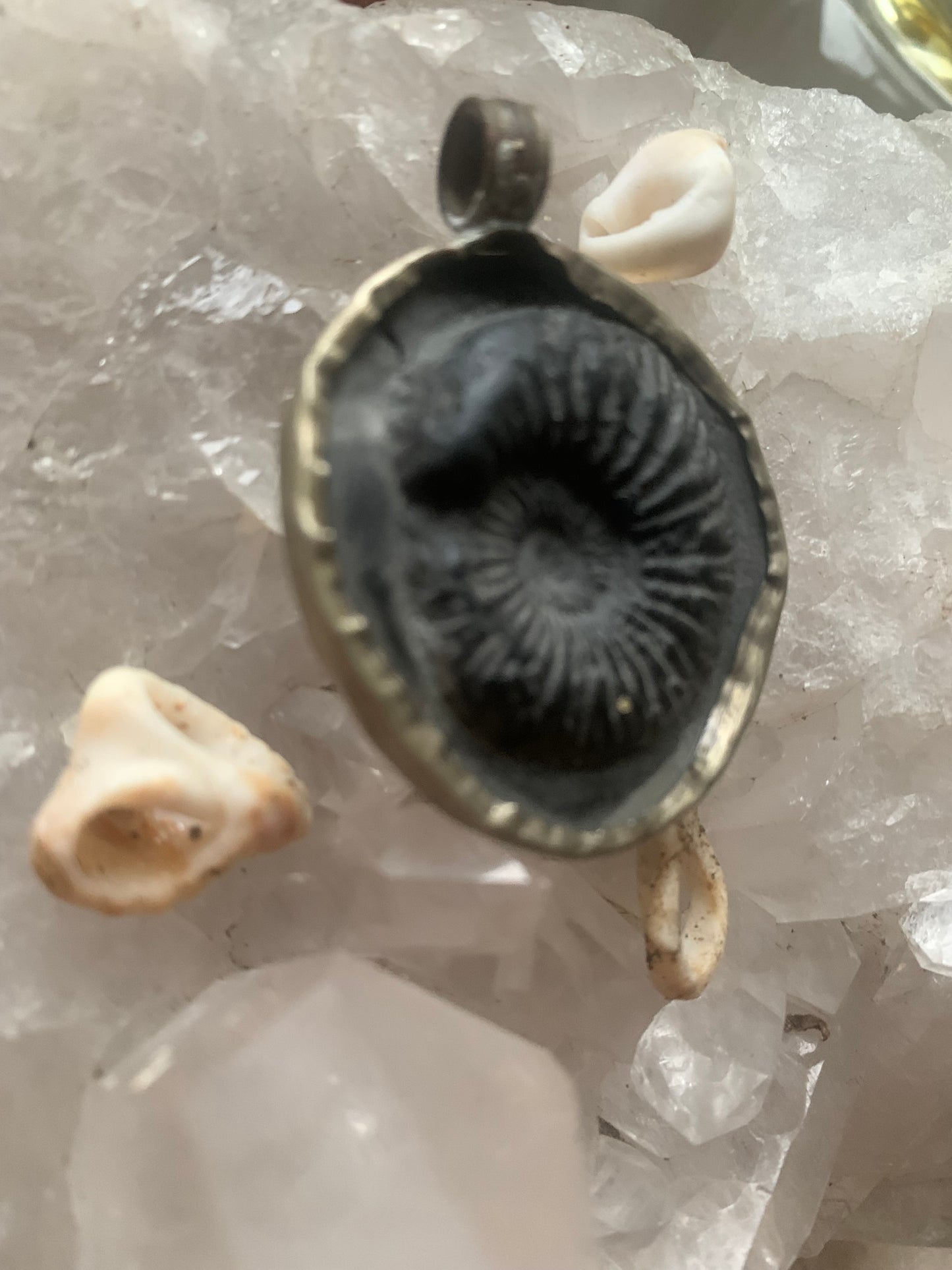 Ammonite fossile du Népal, taille de 45x35x12 millimètres. Pièce authentique et unique, révélant les spirales naturelles et les motifs fascinants de ce fossile. Livré avec cordon coulissant, prêt à porté ou à offrir !