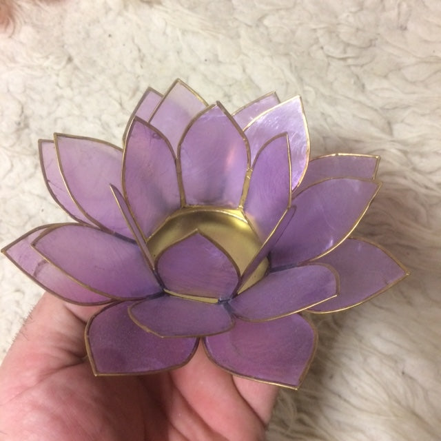 Selection of 'Lotus' candle holders made of capiz shell, 13.5 centimeters x 5.5 centimeters high. Magnificent colors, incredible effects, perfect!