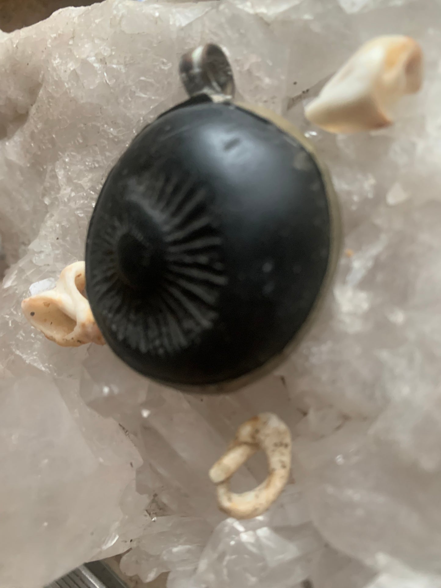 Ammonite fossile du Népal, taille de 45x35x12 millimètres. Pièce authentique et unique, révélant les spirales naturelles et les motifs fascinants de ce fossile. Livré avec cordon coulissant, prêt à porté ou à offrir !