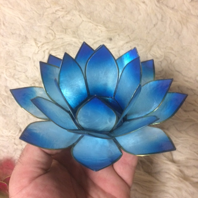 Selection of 'Lotus' candle holders made of capiz shell, 13.5 centimeters x 5.5 centimeters high. Magnificent colors, incredible effects, perfect!