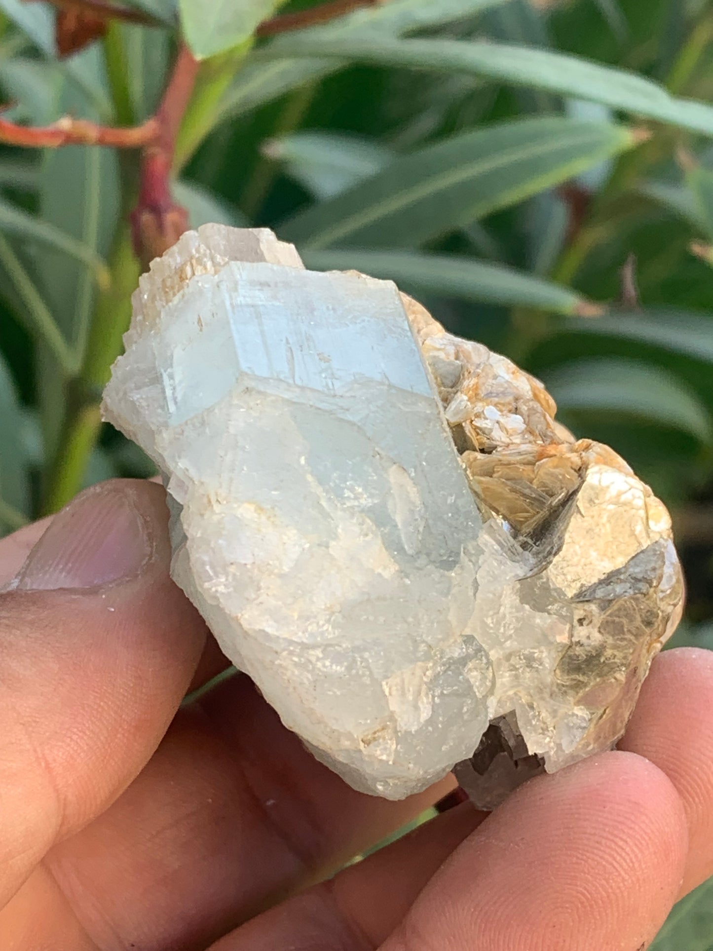 Aigue-marine avec Muscovite, superbe pièce de 69x60x38mm - 151,3 grammes ! Un bloc quasi pur en aigue-marine !