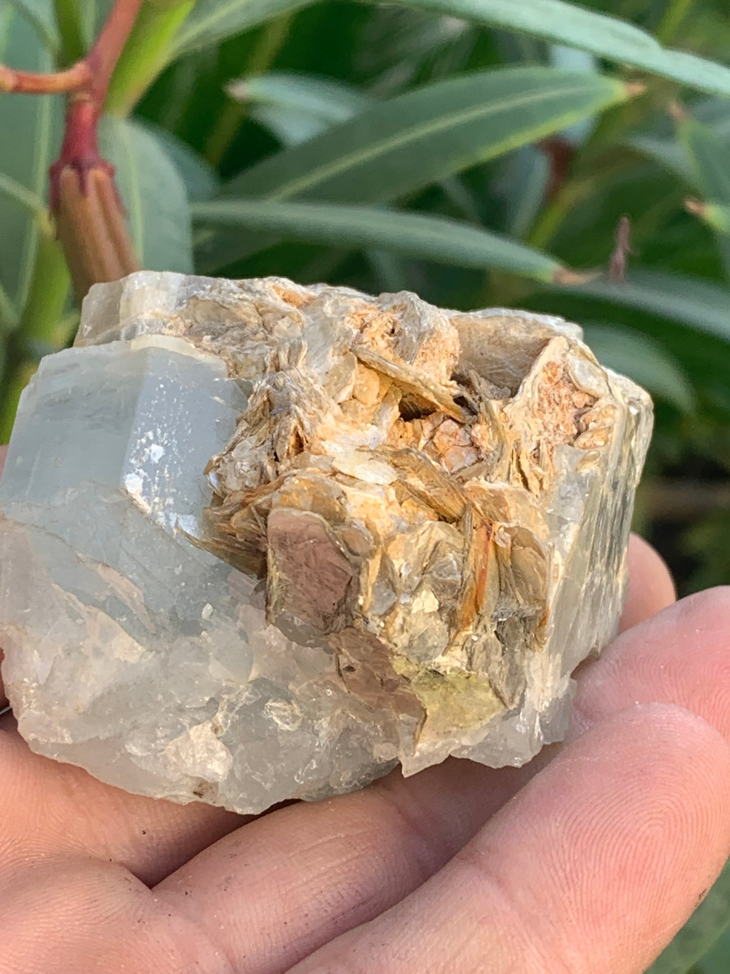 Aigue-marine avec Muscovite, superbe pièce de 69x60x38mm - 151,3 grammes ! Un bloc quasi pur en aigue-marine !