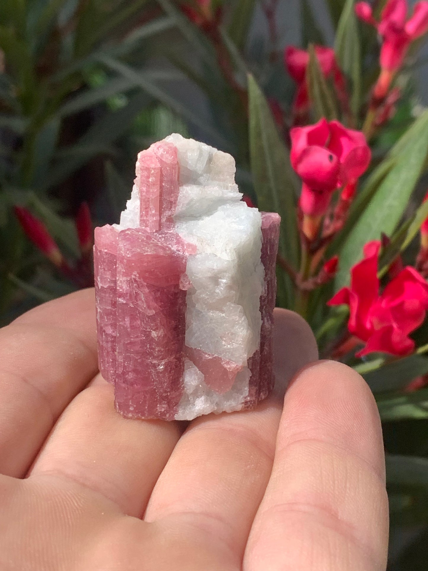 Tourmaline Rubellite, spécimen naturel de 45 x 31 x 30 mm - 47,7 grammes. Belle petite pièce !